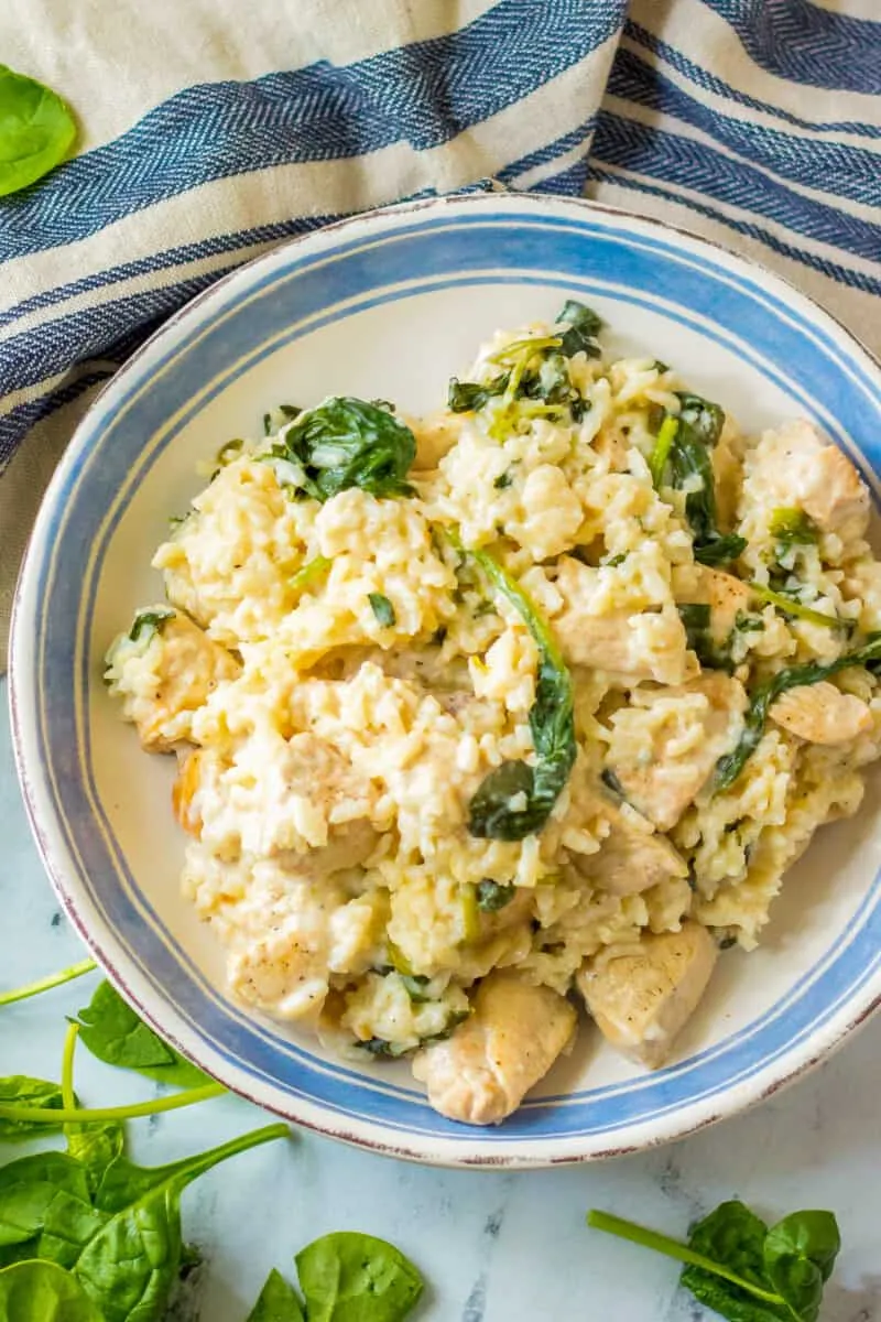 Creamy Garlic Chicken and Rice