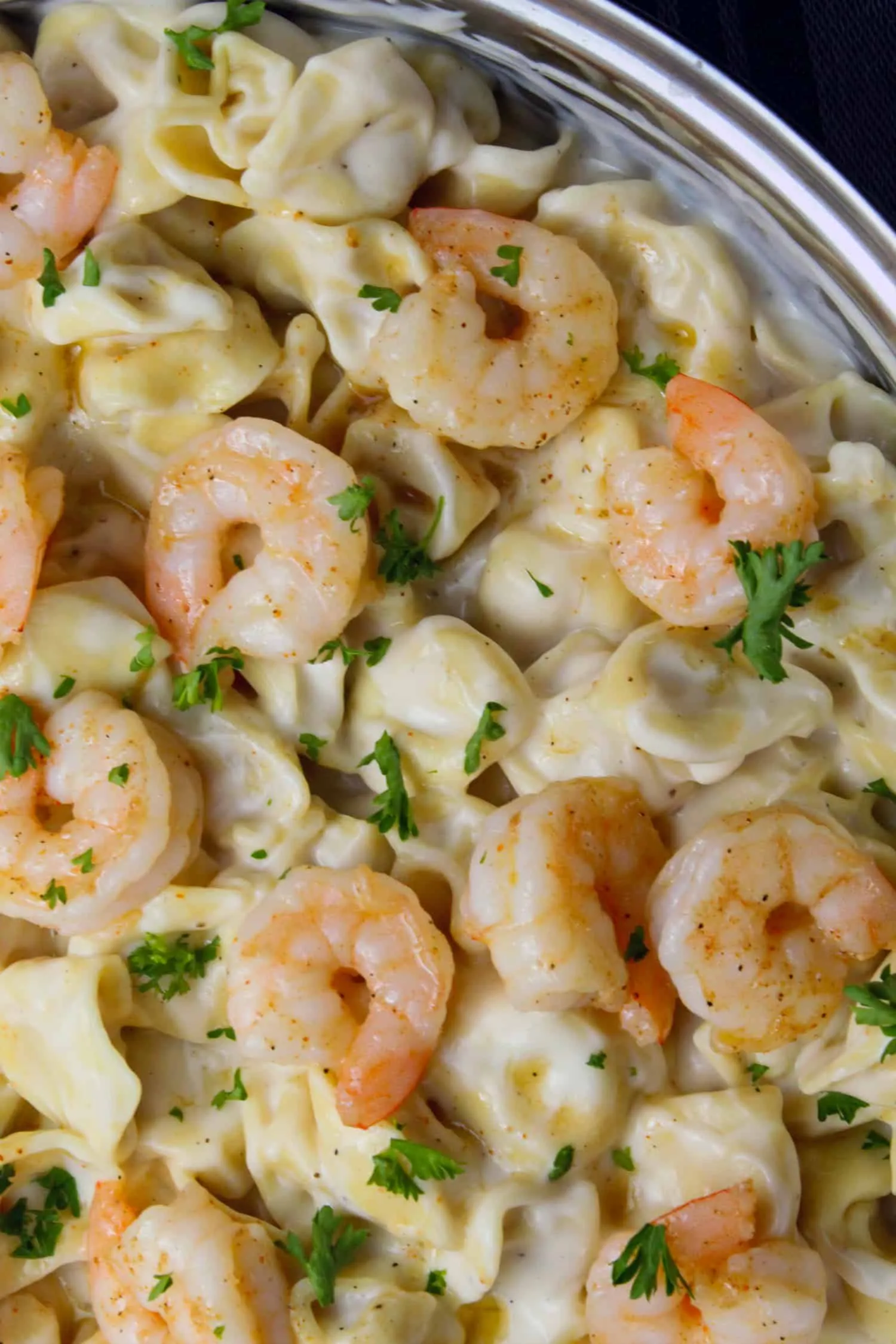 Creamy Tortellini with Shrimp