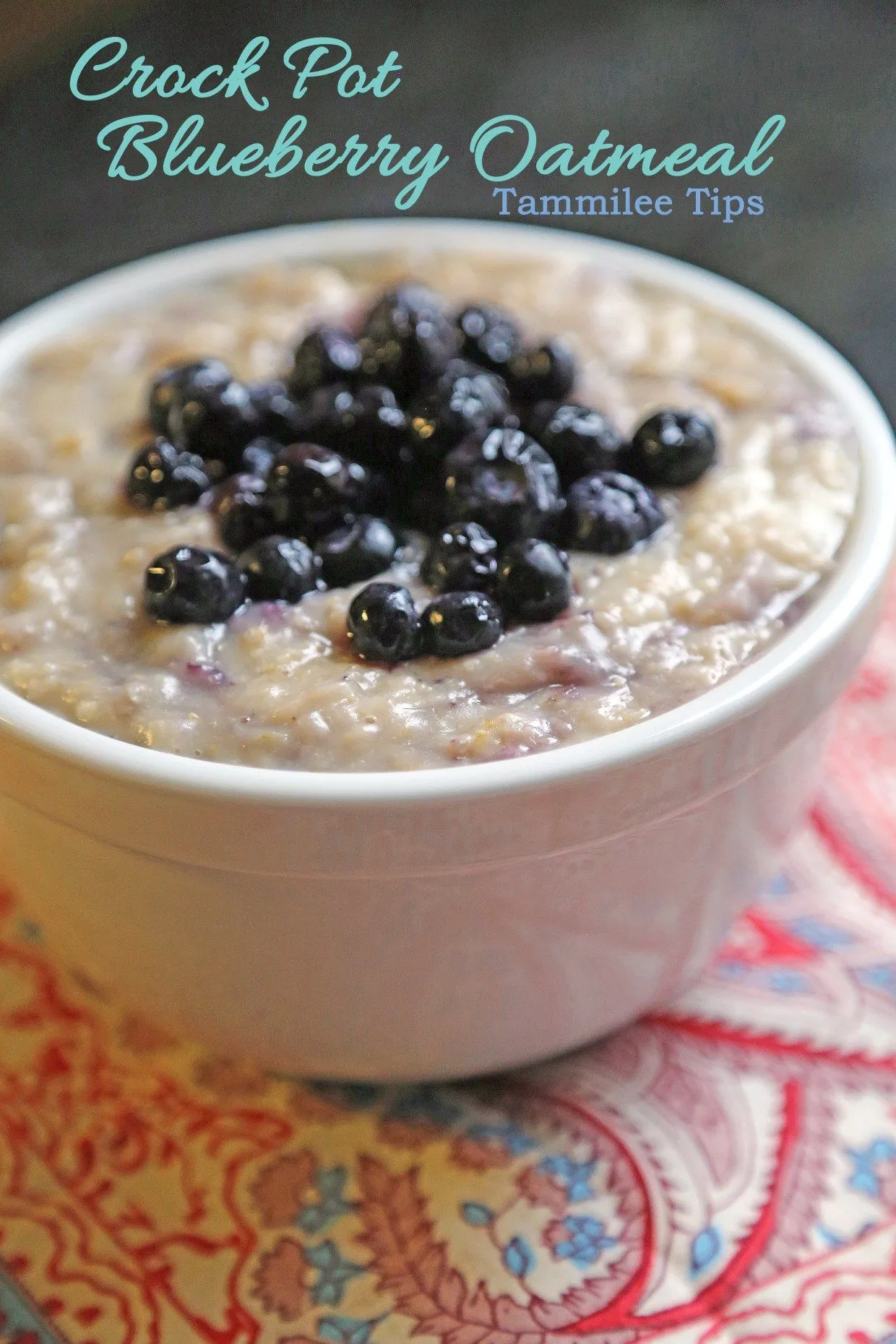 Crock Pot Blueberry Oat Casserole