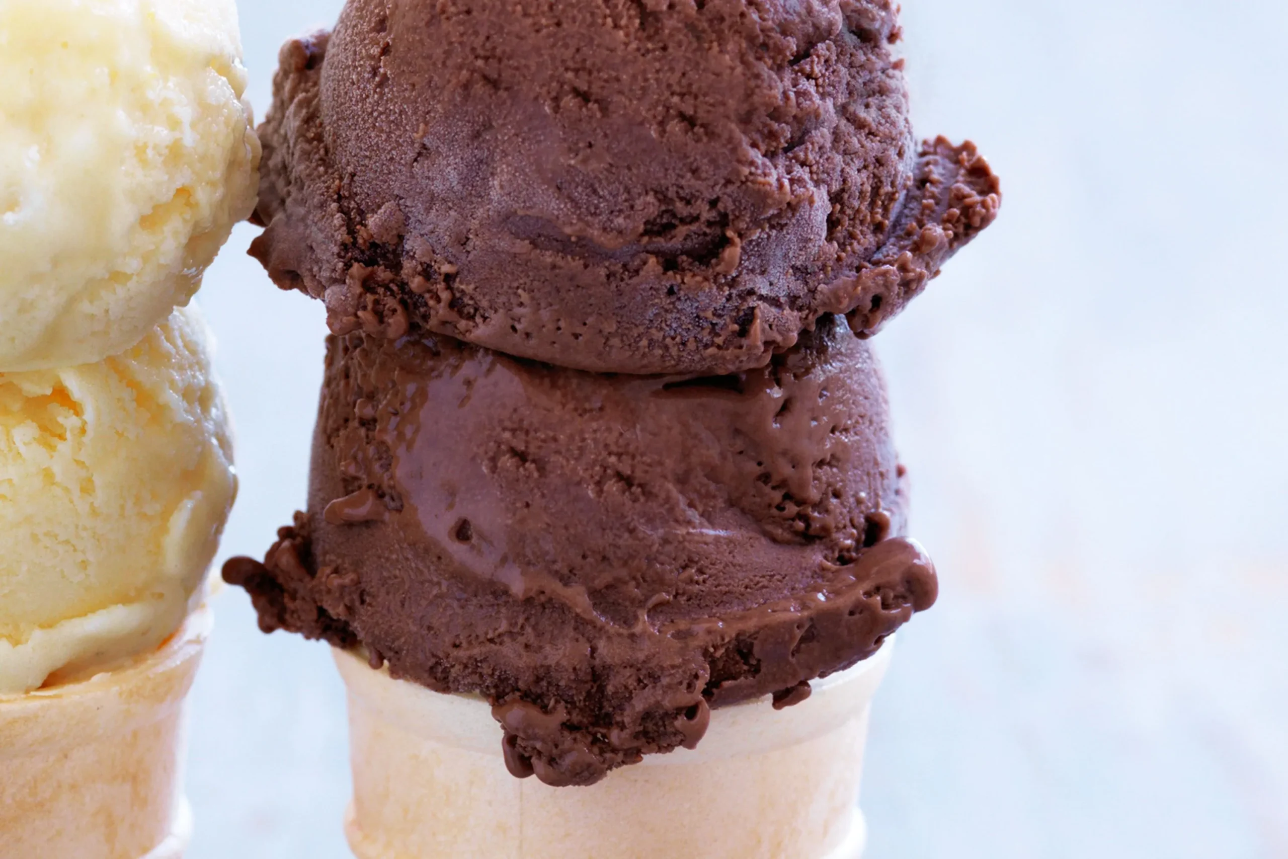 Dark Chocolate Cinnamon Sea Salt Ice Cream