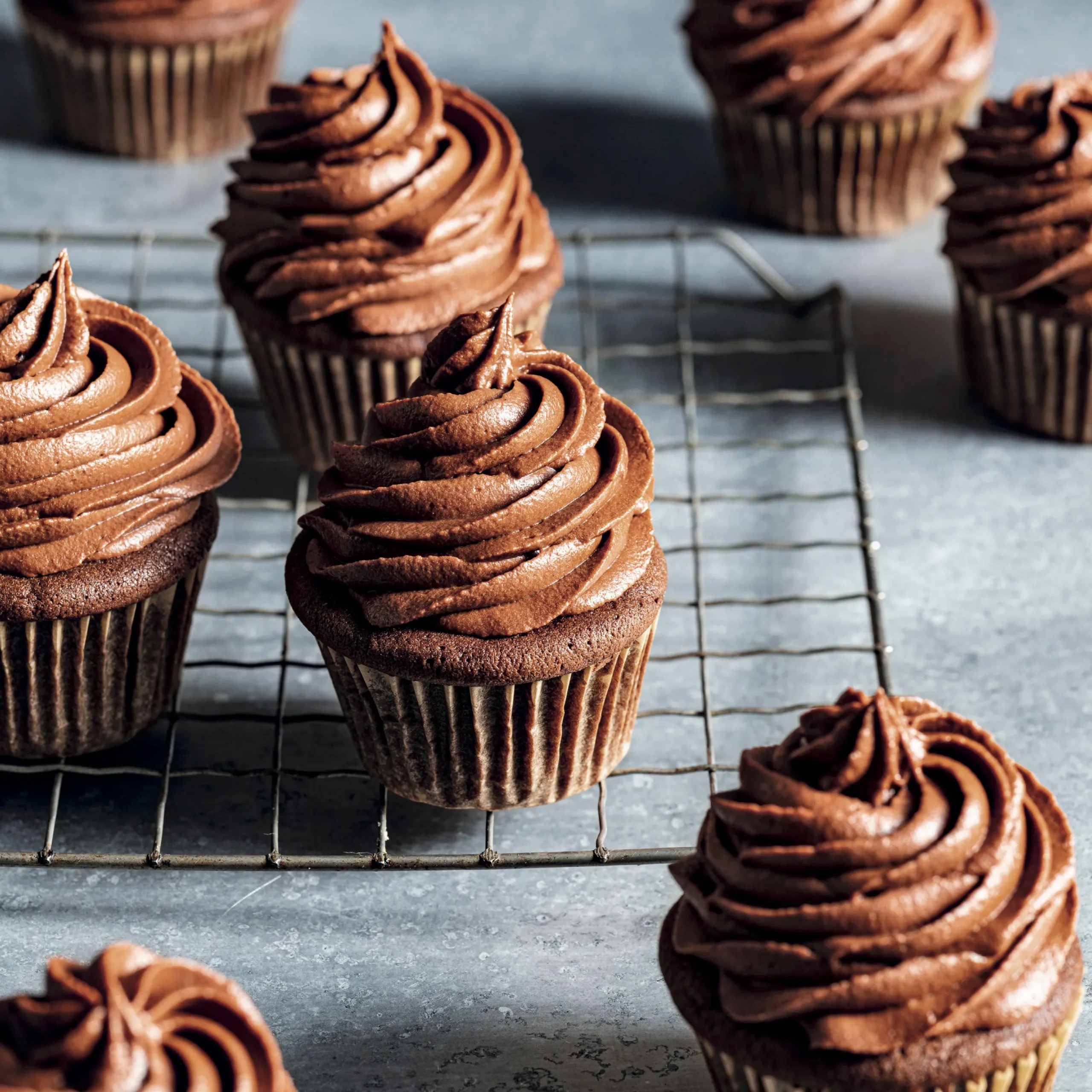Devils Food Cupcakes with Dark Chocolate Frosting