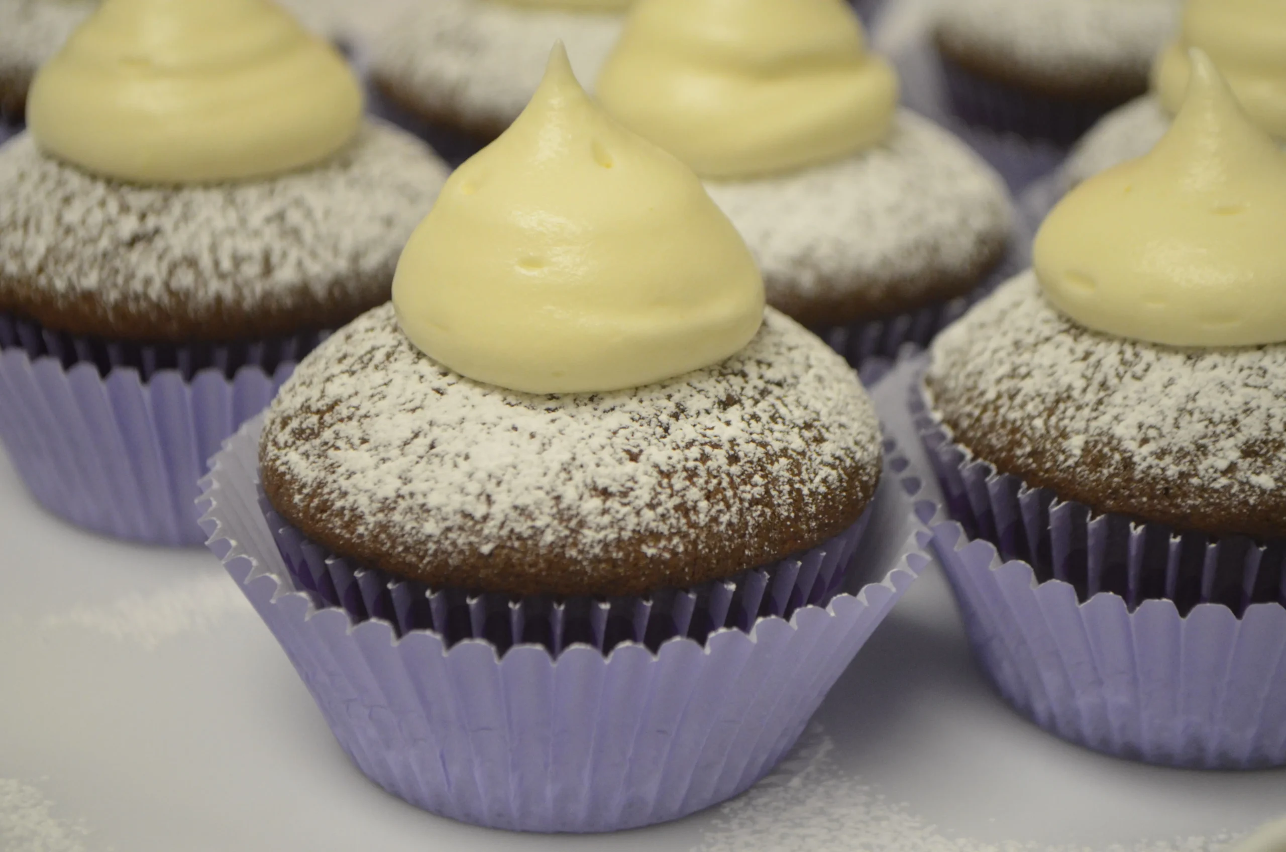 Double Chocolate Cupcakes with White Chocolate Cream Cheese Frosting