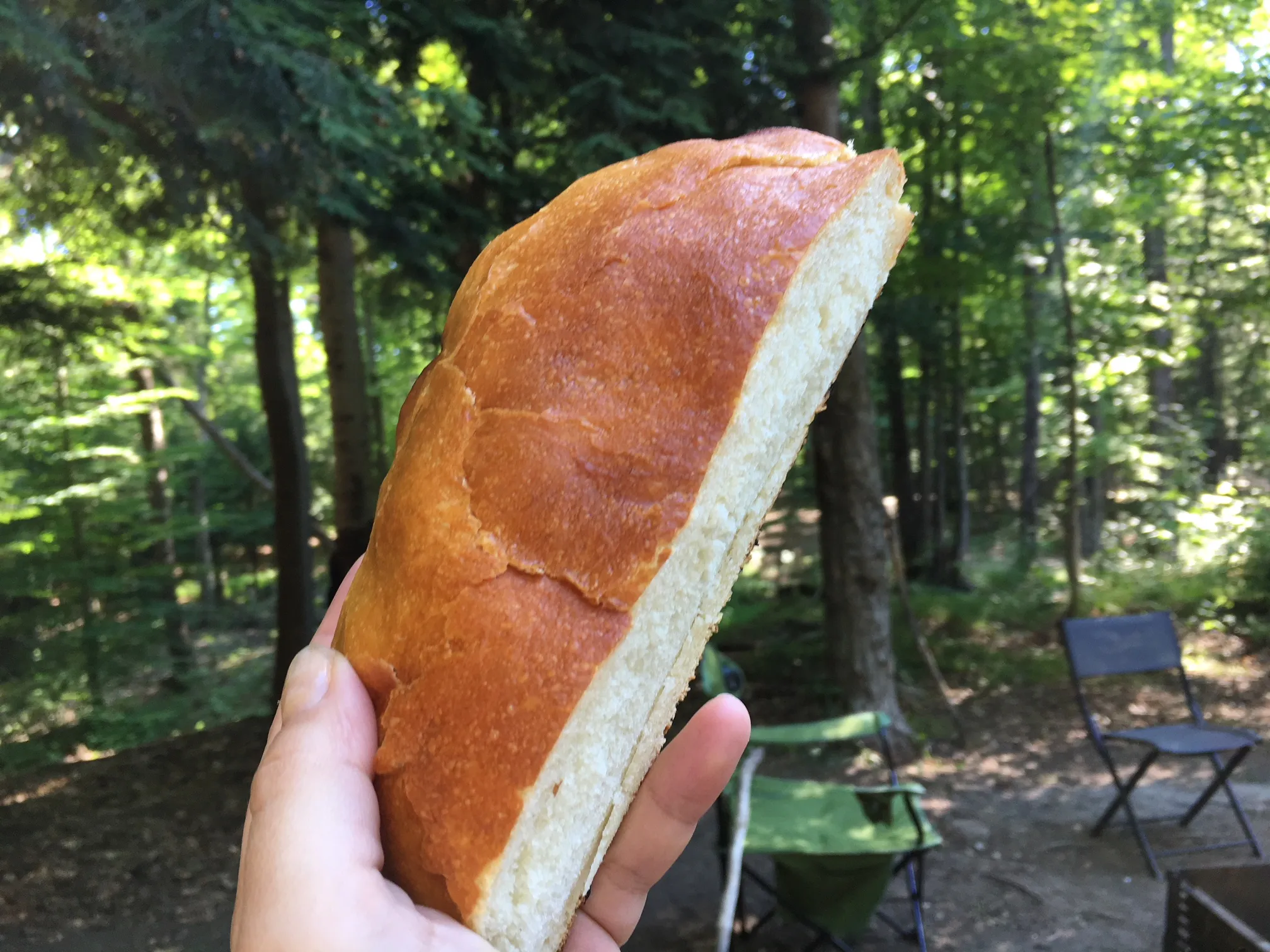 Dutch Oven Campfire Artisan Bread