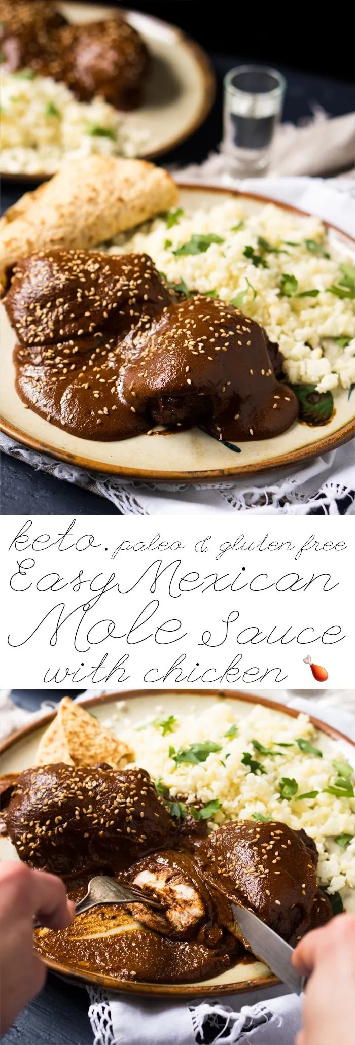 Easy Paleo Keto Mexican Mole Sauce