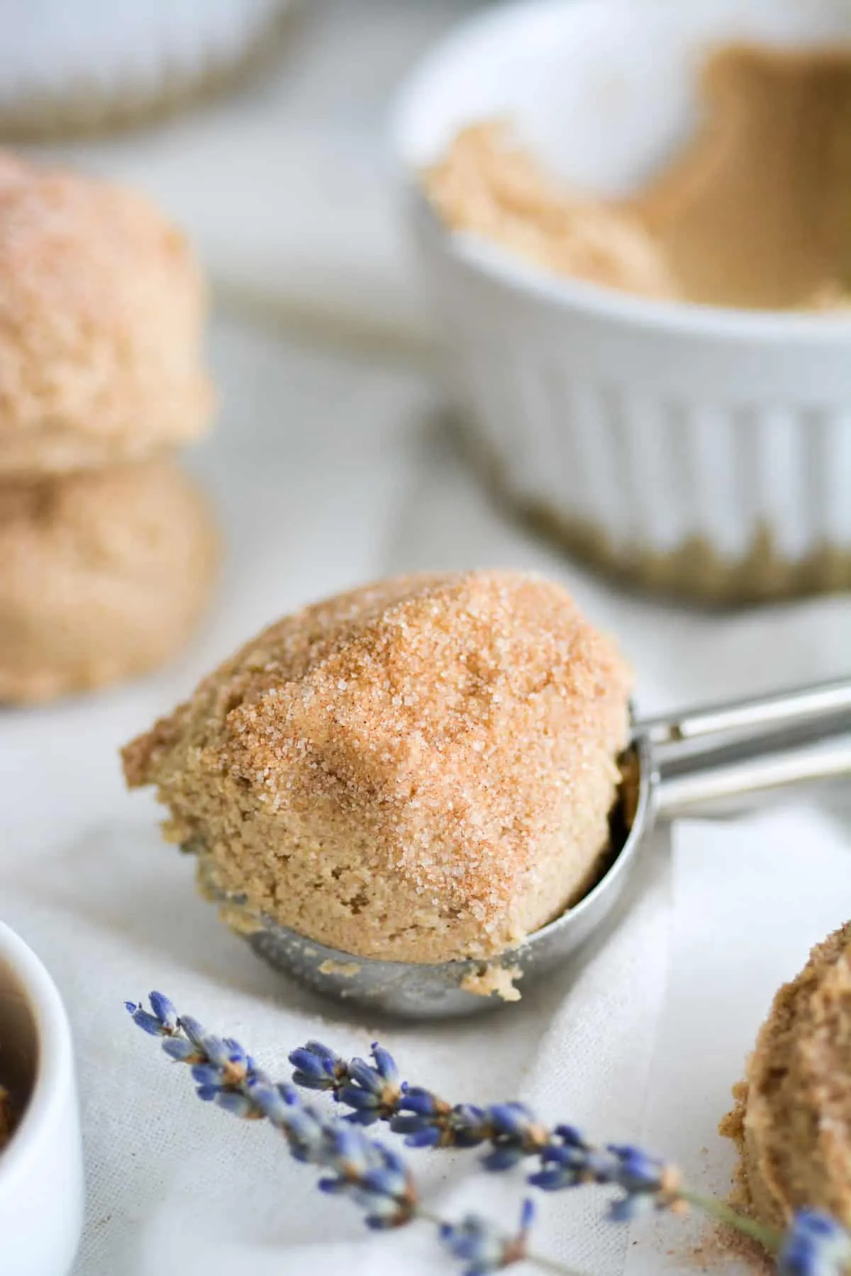 Edible Snickerdoodle Cookie Dough GF