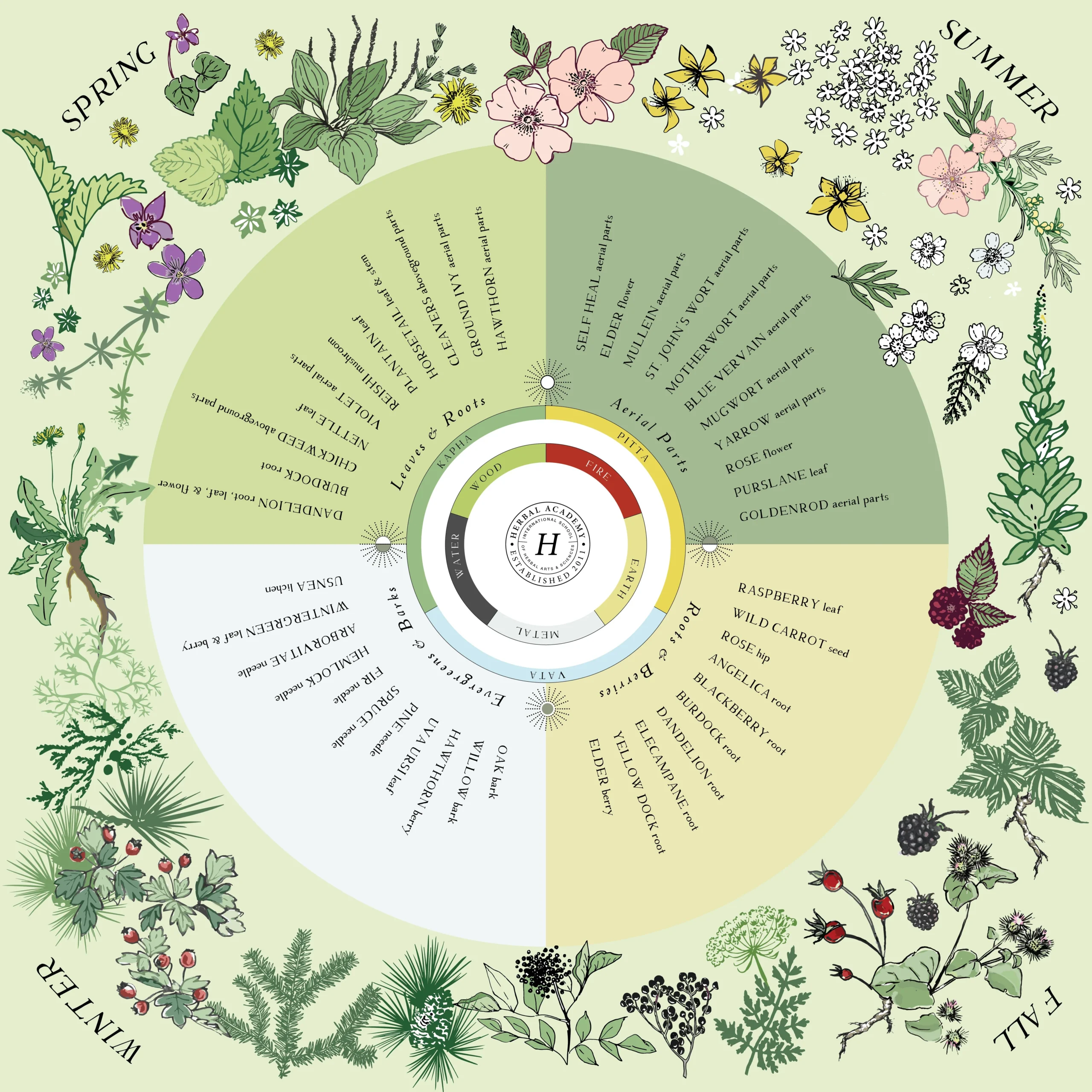 Eight Ways to Save Seasonal Herbs