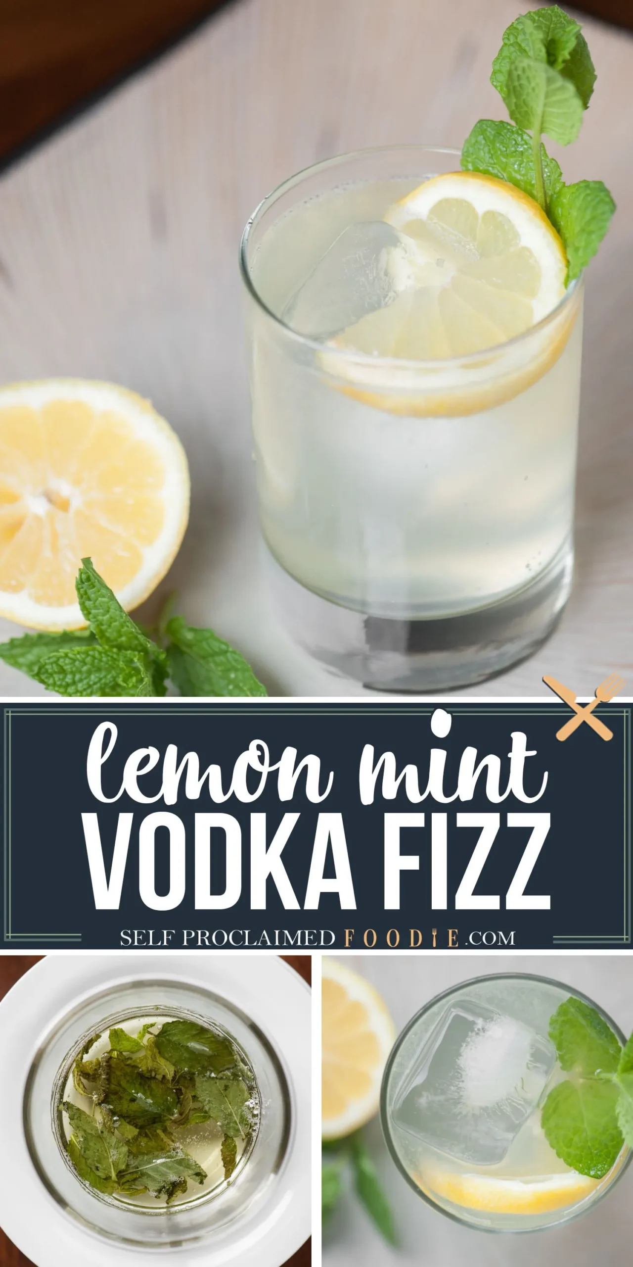 Fennel Lemon Mint Vodka Fizz
