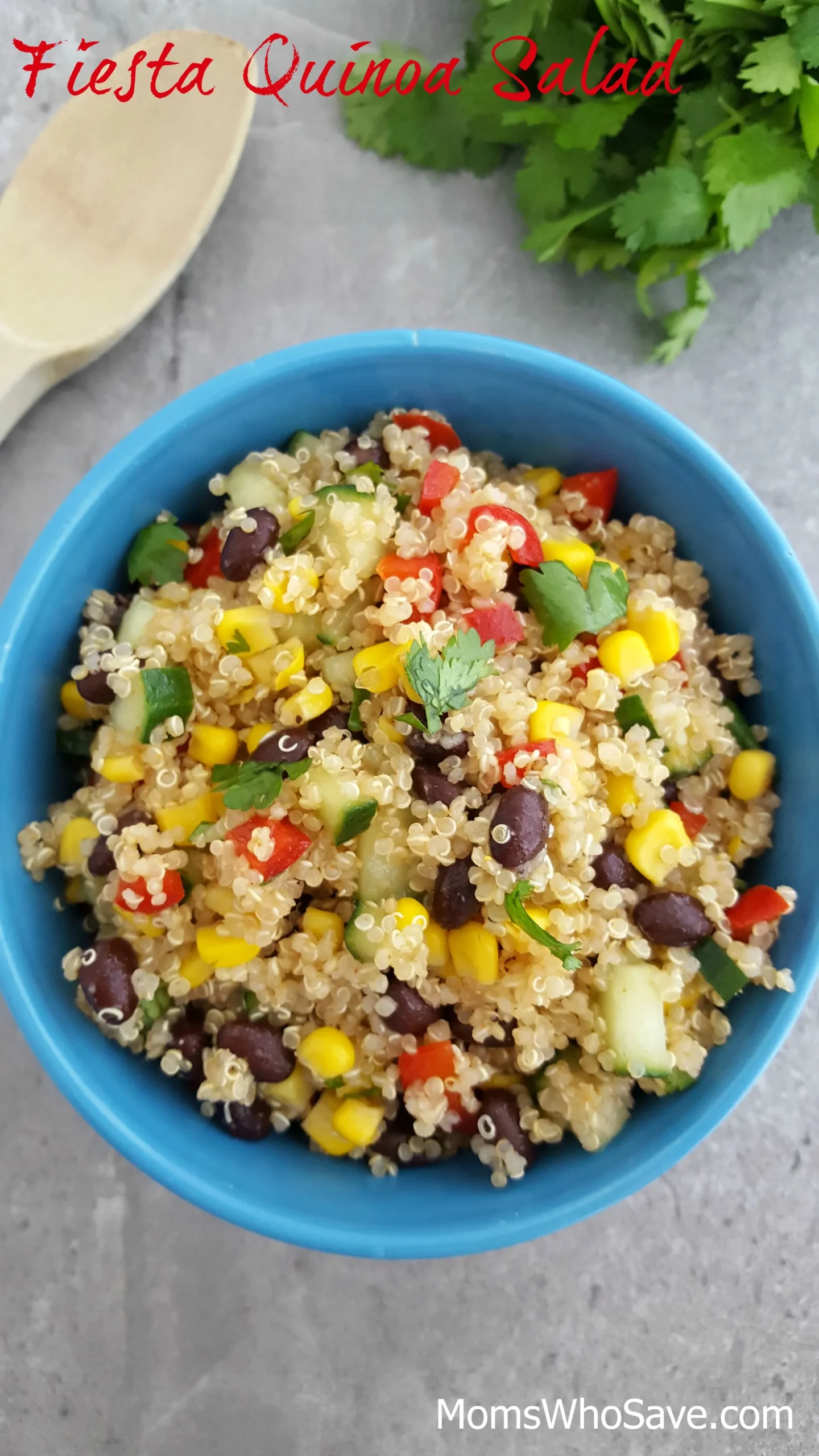 Fiesta Quinoa Salad (Gluten Free, Vegan)