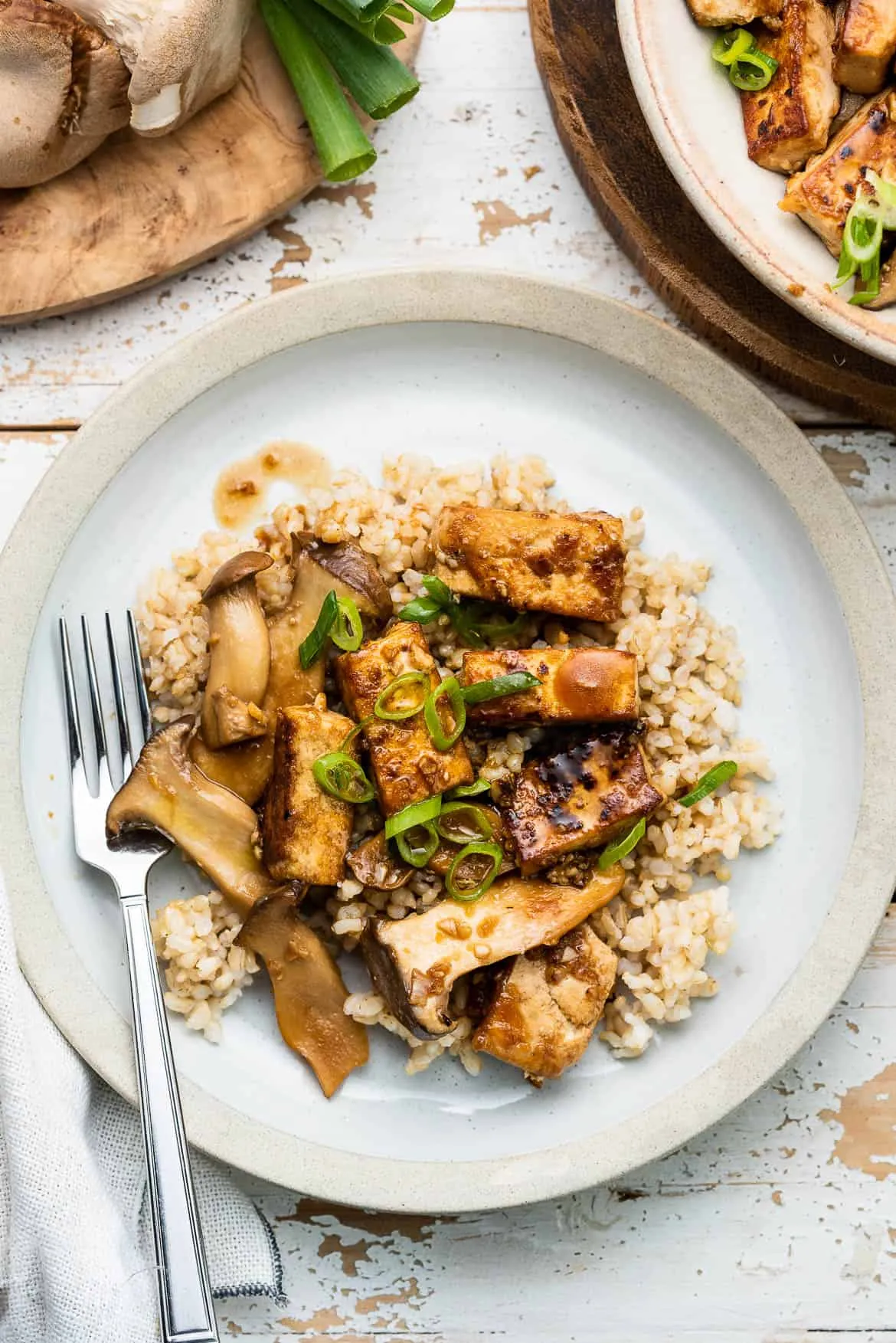 Filipino Crispy Tofu and Mushroom Adobo