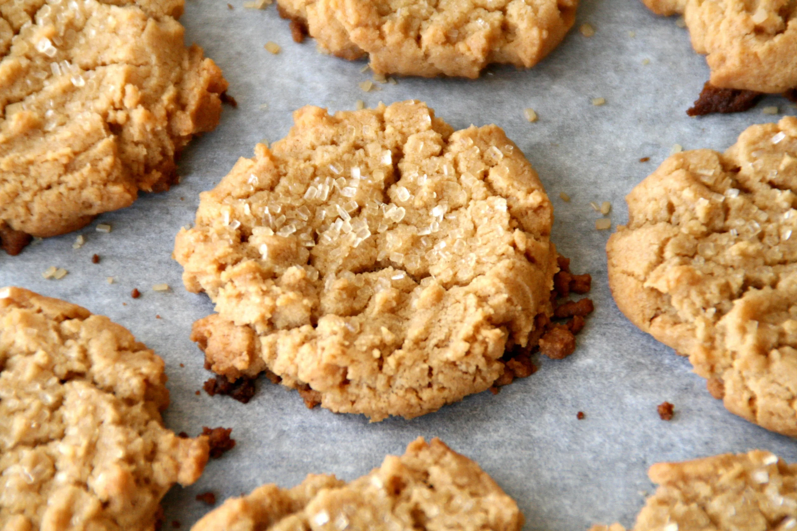 Flourless Gluten-Free Peanut Butter Cookies
