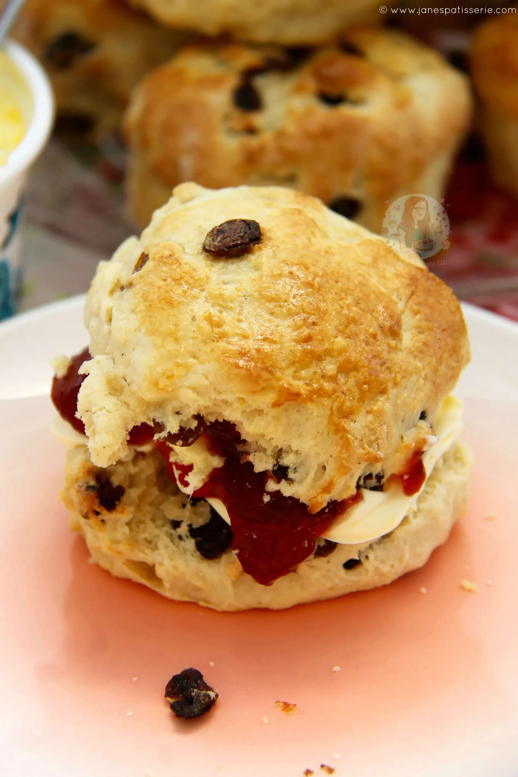 Forest and Orchard Fruit Scones