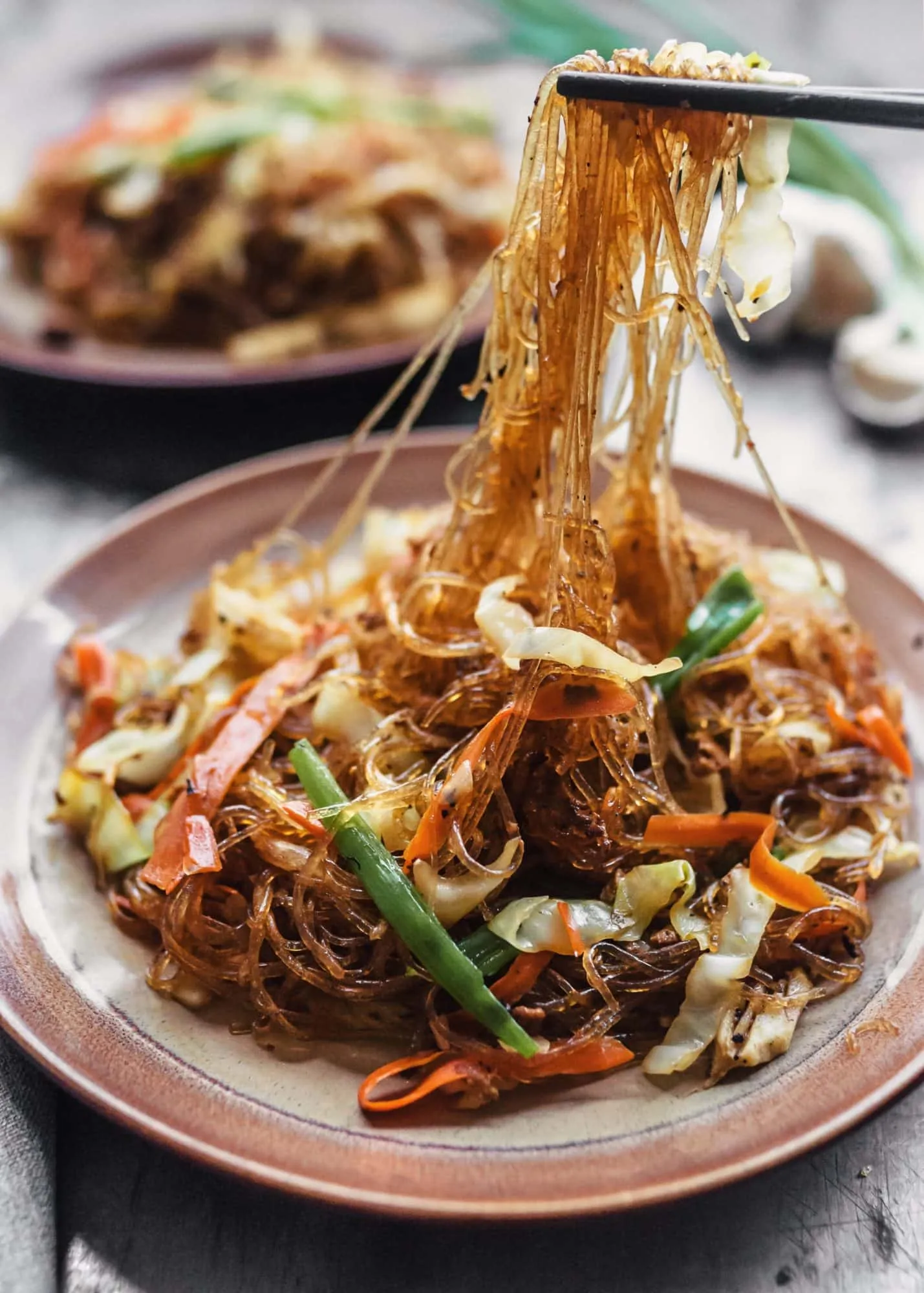 Fried Vermicelli Bangladeshi Noodles