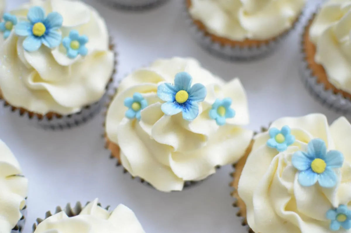 Frost Me Not Cup Cakes