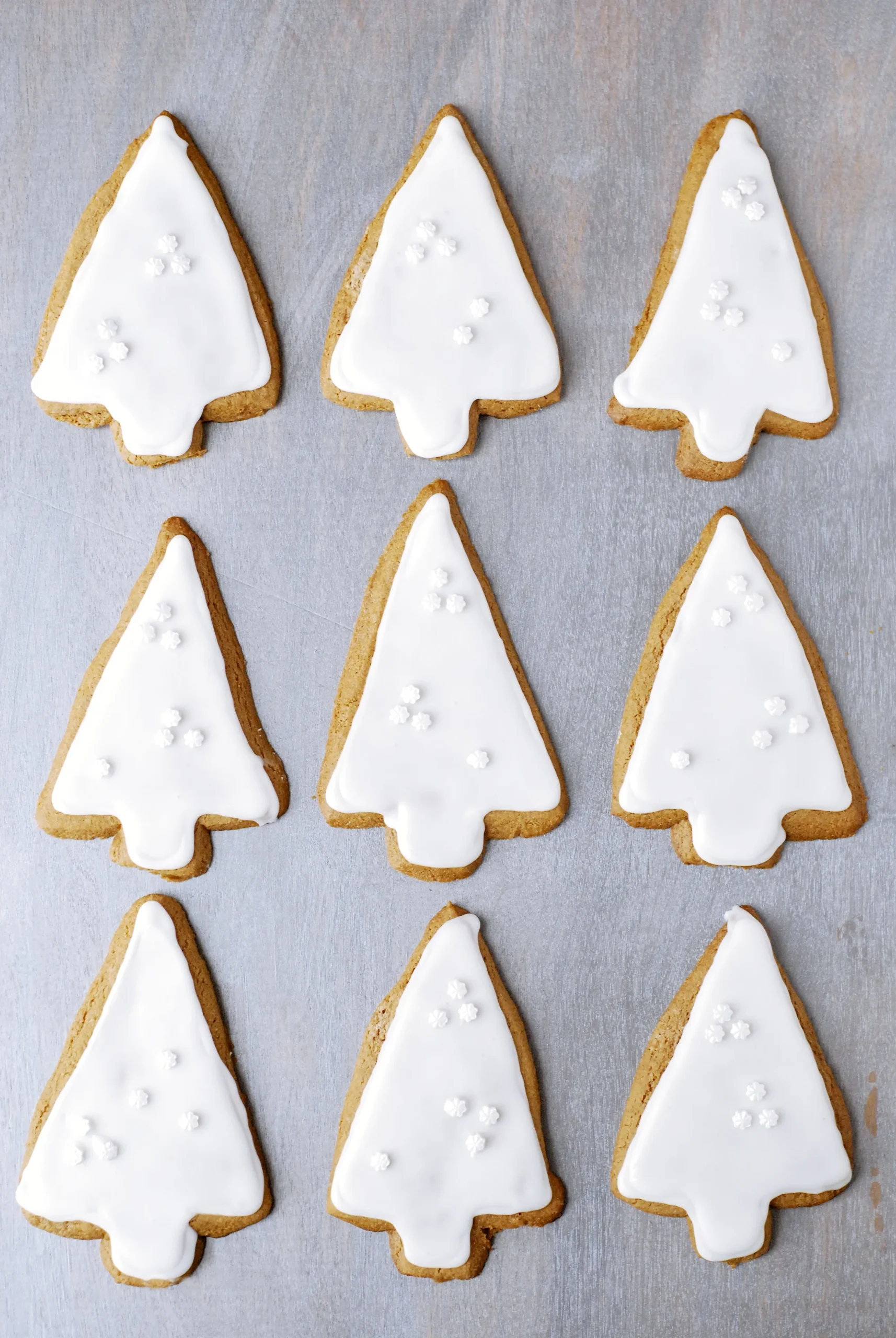 Gluten Free Iced Gingerbread Cookies