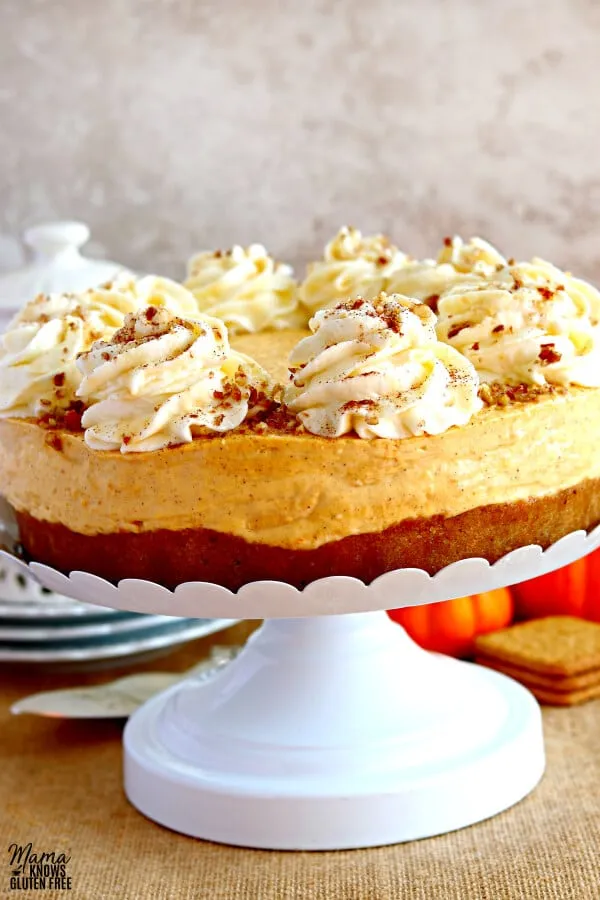 Gluten Free No Bake Pumpkin Praline Cheesecake