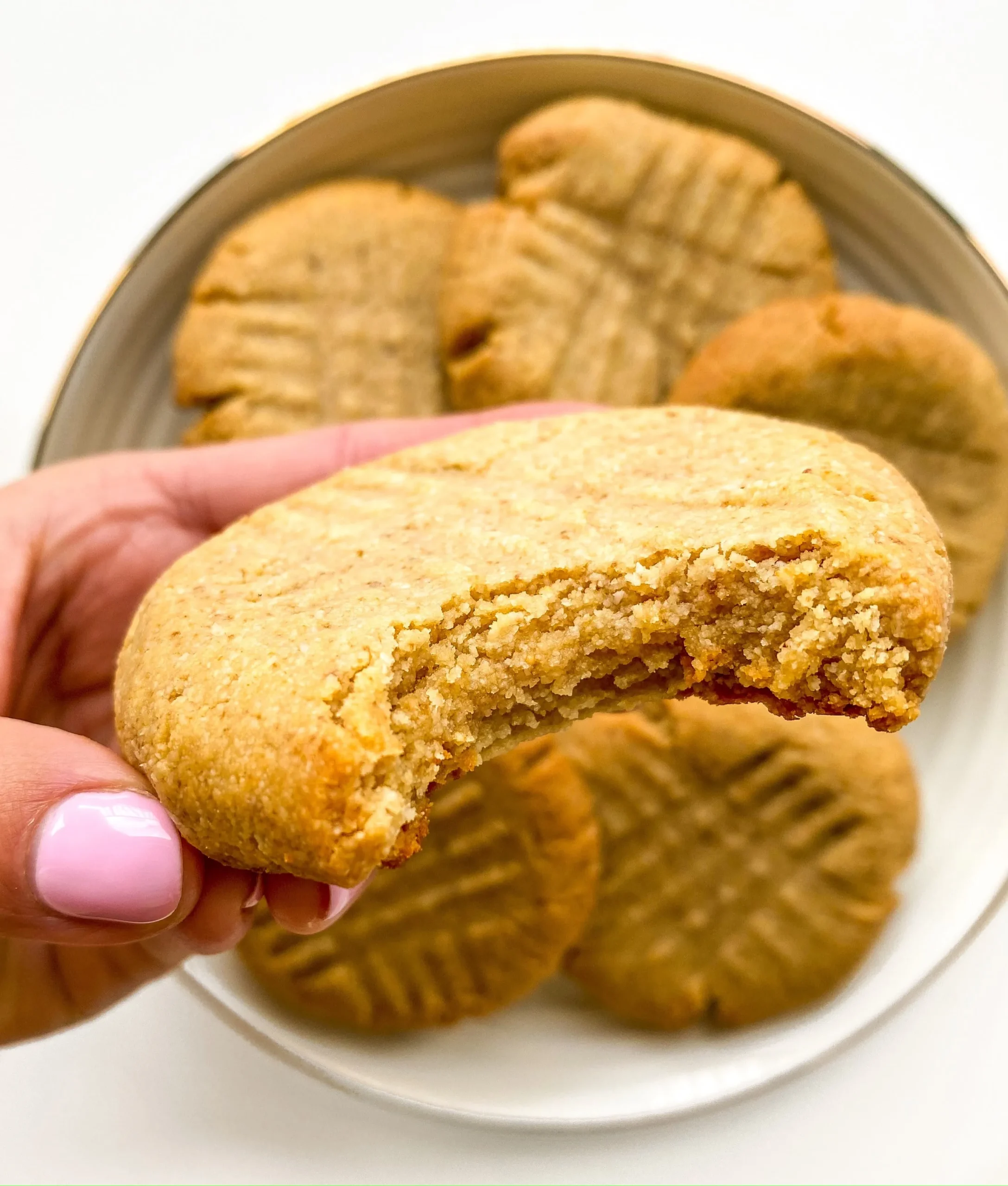 Gluten Free Salted Peanut Butter Cookies