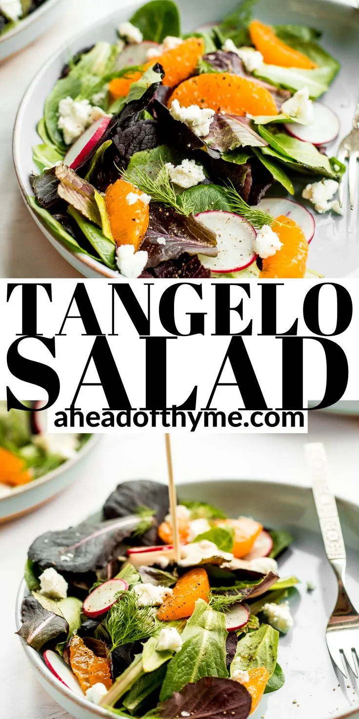 Goat Cheese and Tangelo Winter Salad with Creamy Dressing