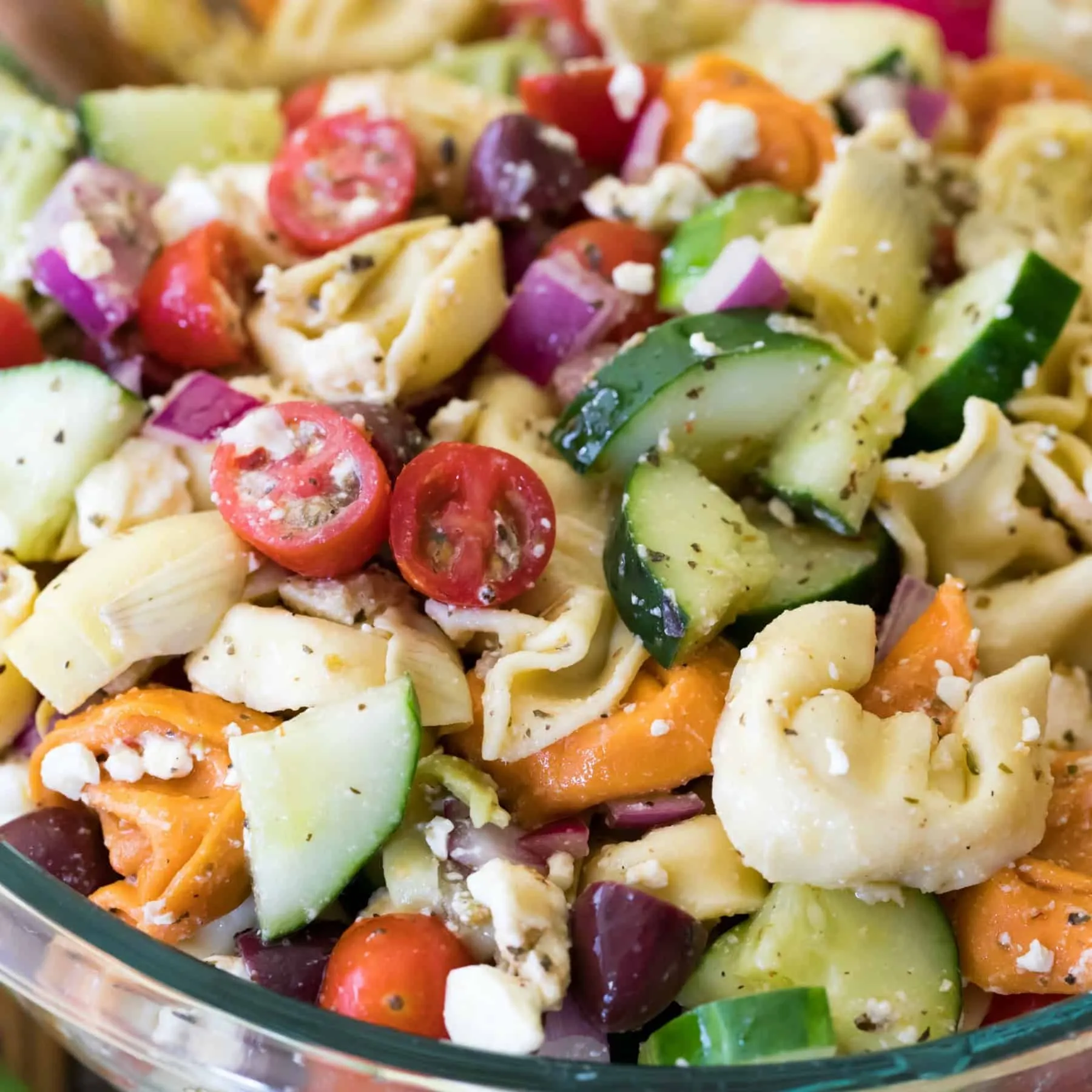 Greek Tortellini Pasta Salad