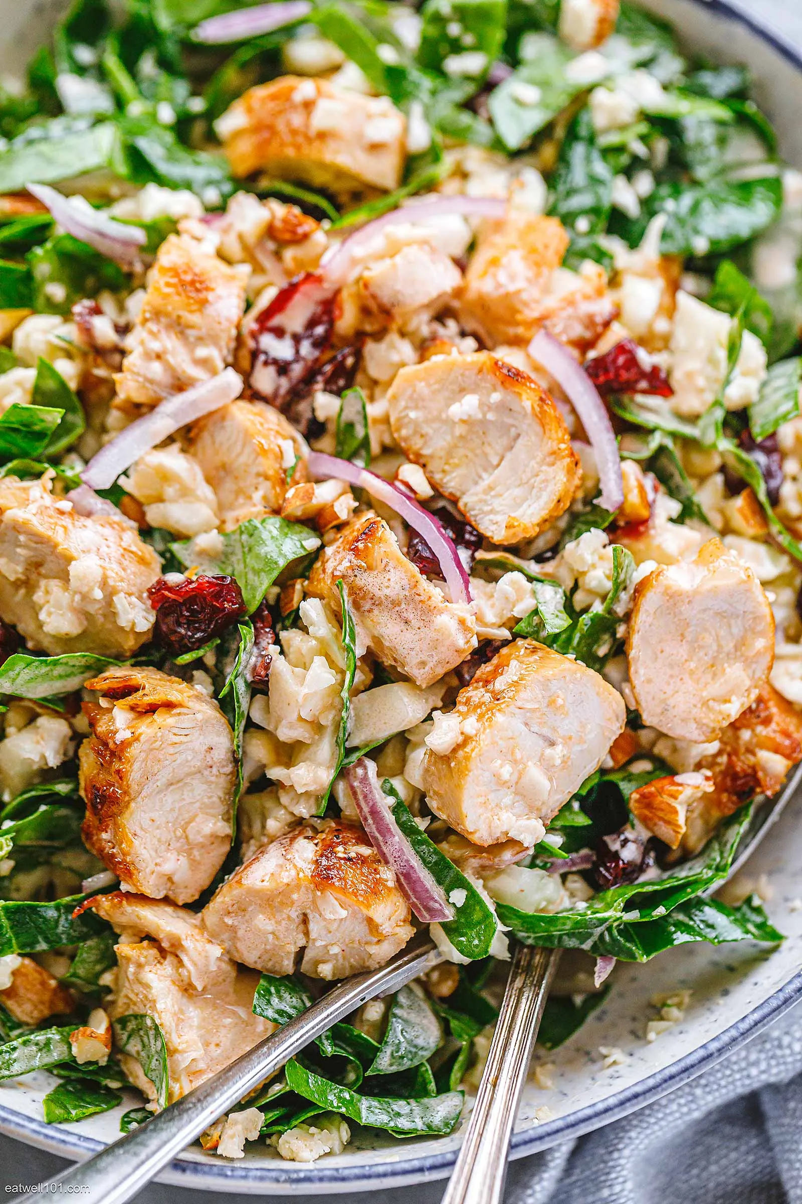 Grilled Chicken Bean Spinach Salad