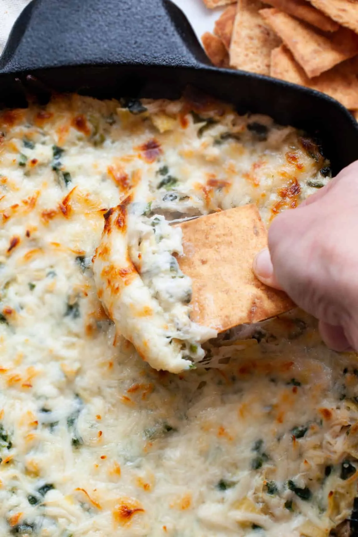 Grilled Chicken and Spinach Artichoke Dip Melt