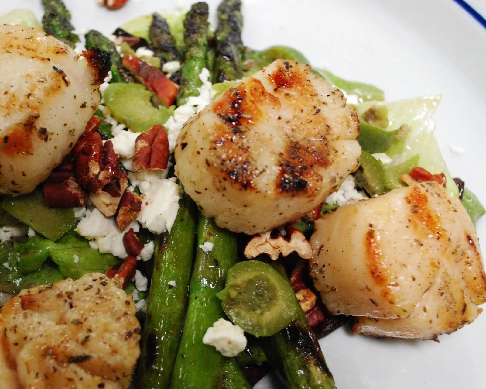 Grilled Miso Marinated Scallops with Hijiki Salad