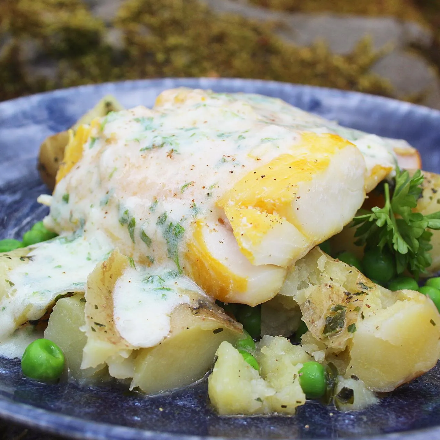 Haddock Poached with Parsley Cream and Dill