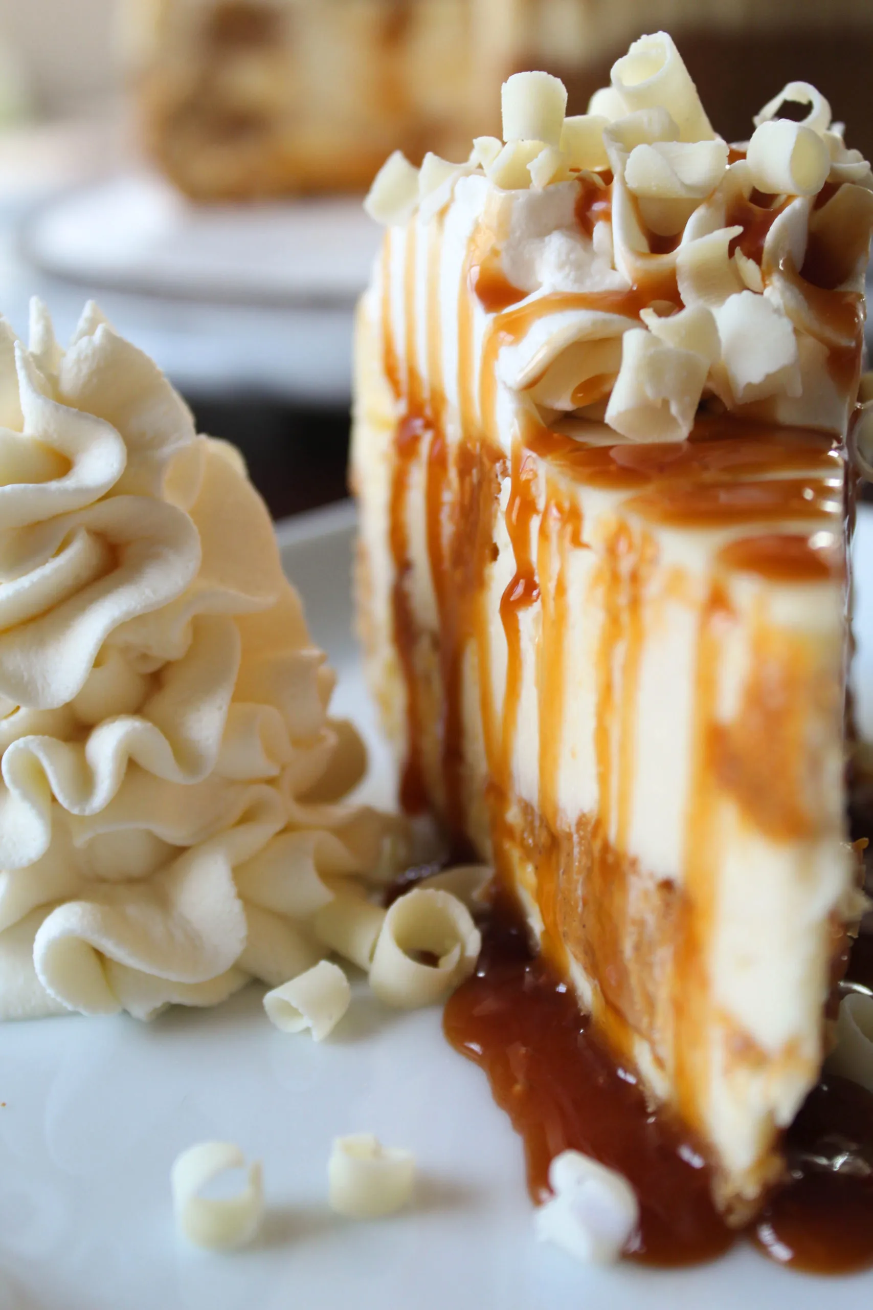 Hazelnut White Chocolate Pumpkin Cheesecake
