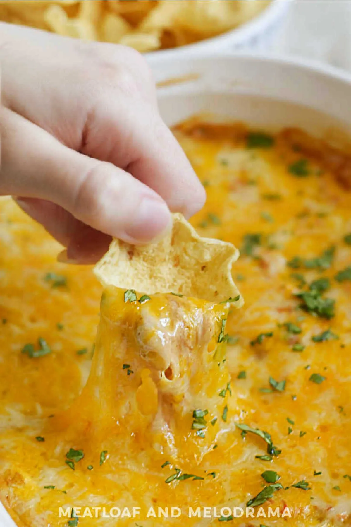 Hellmann's Hot Cheddar Bean Dip