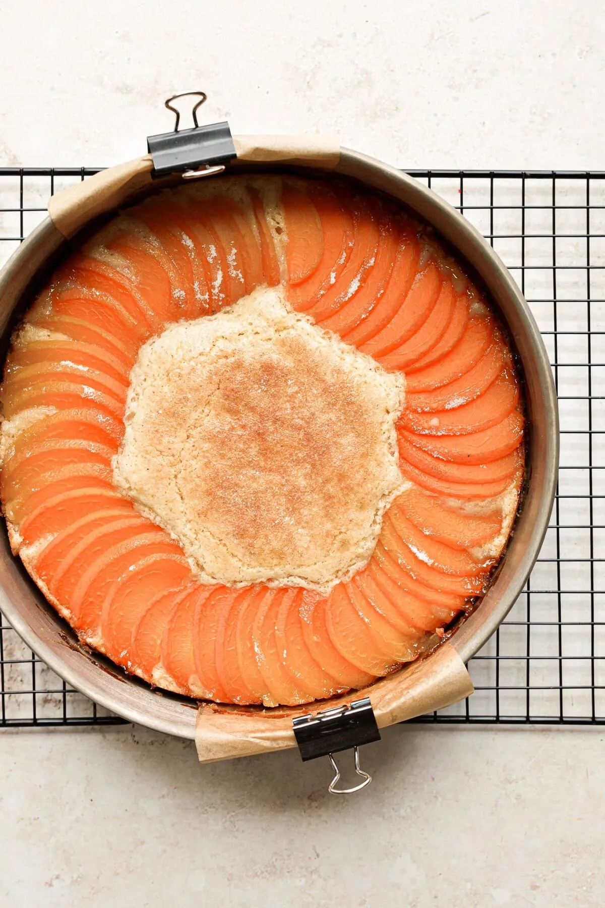 High Altitude Apricot Almond Torte