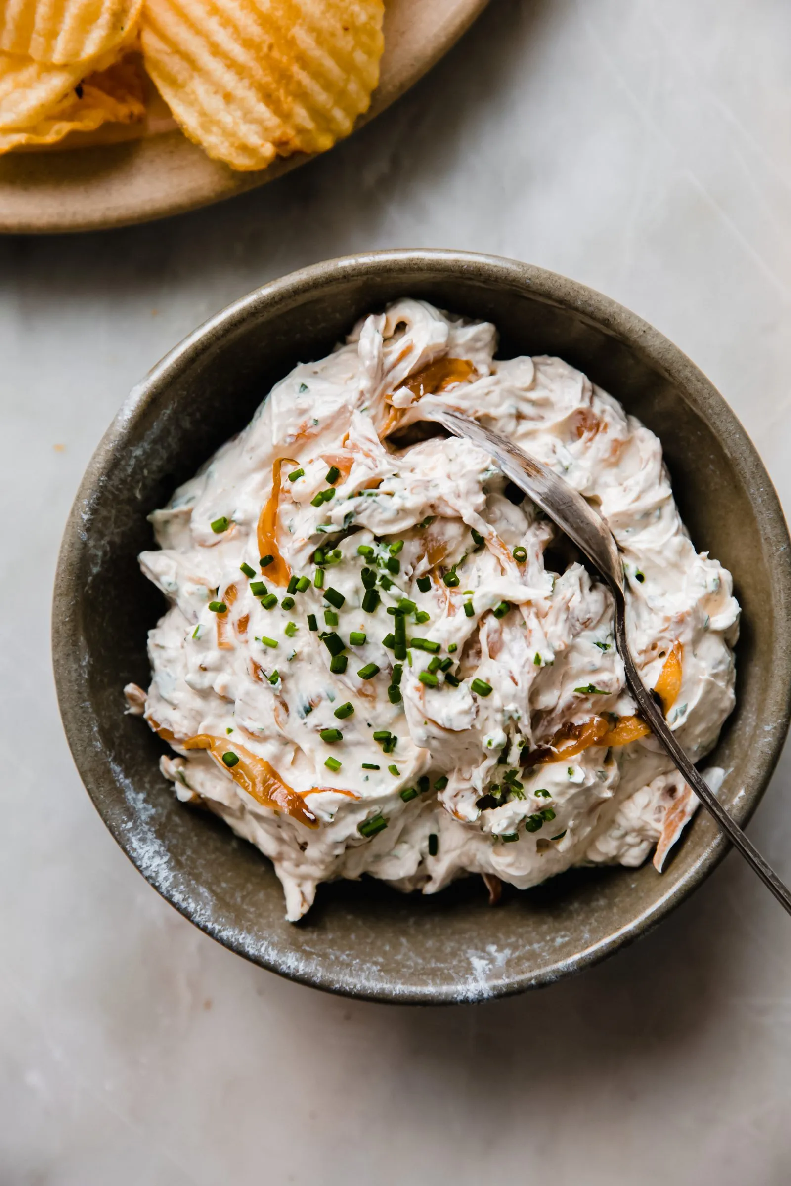 Hot Caramelized Onion Dip