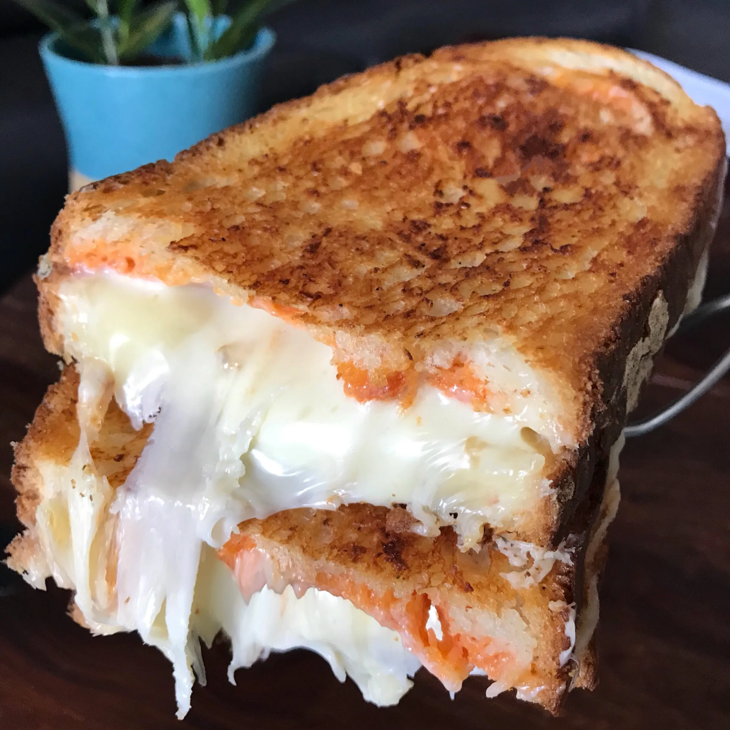 Imagine Italian Style Grilled Cheese