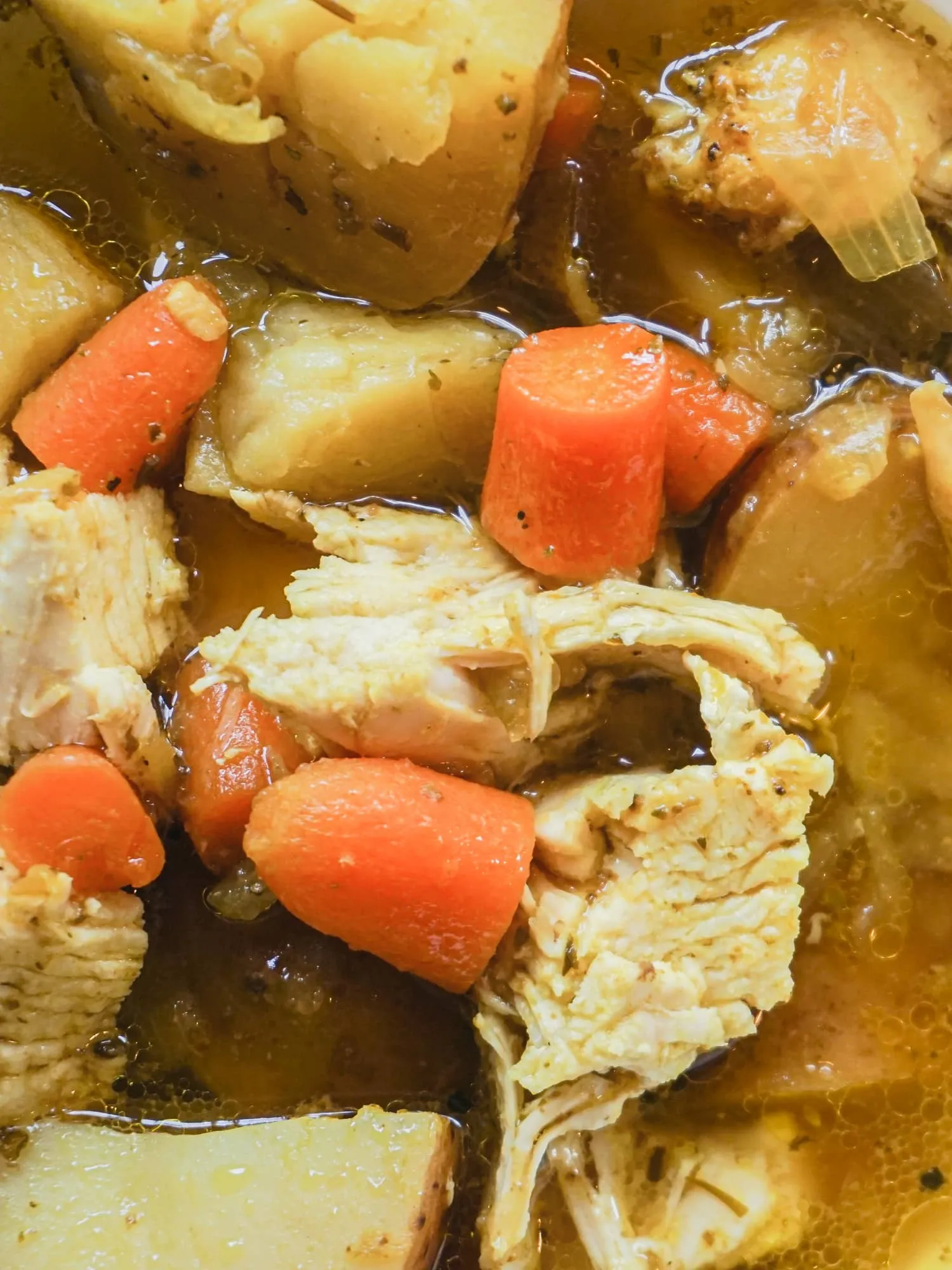 Instant Pot Chicken Soup