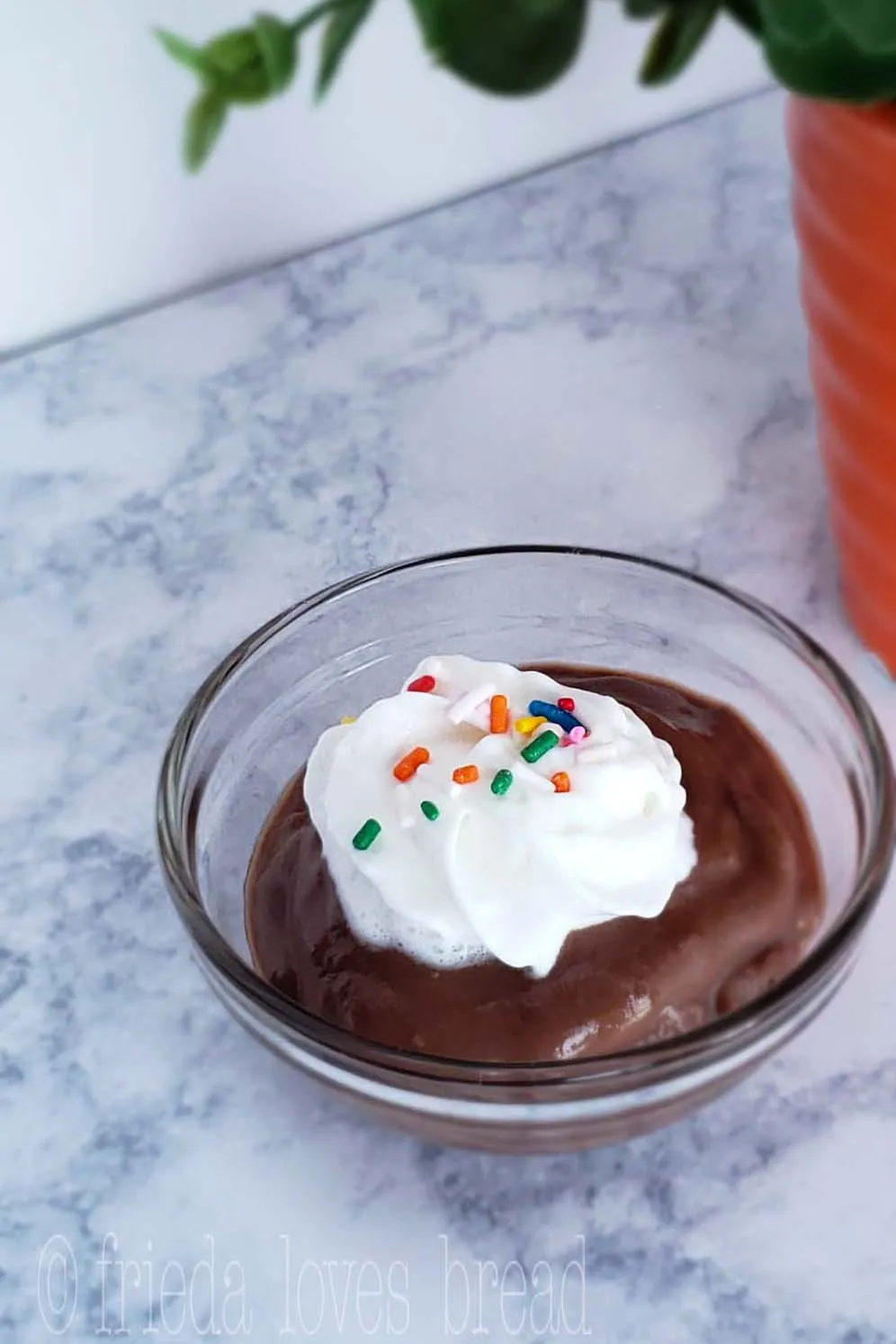 Instant Pot Chocolate Pudding