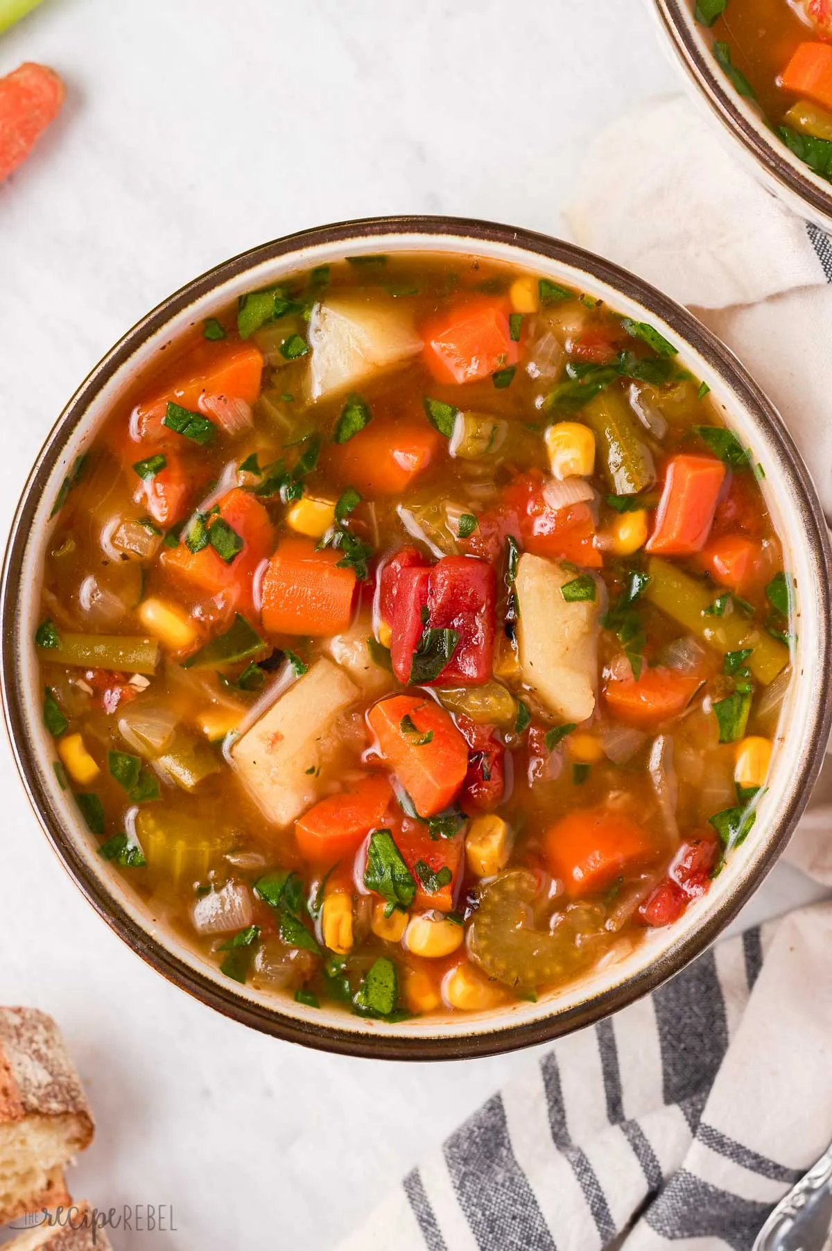 Instant Pot Vegetarian Soup