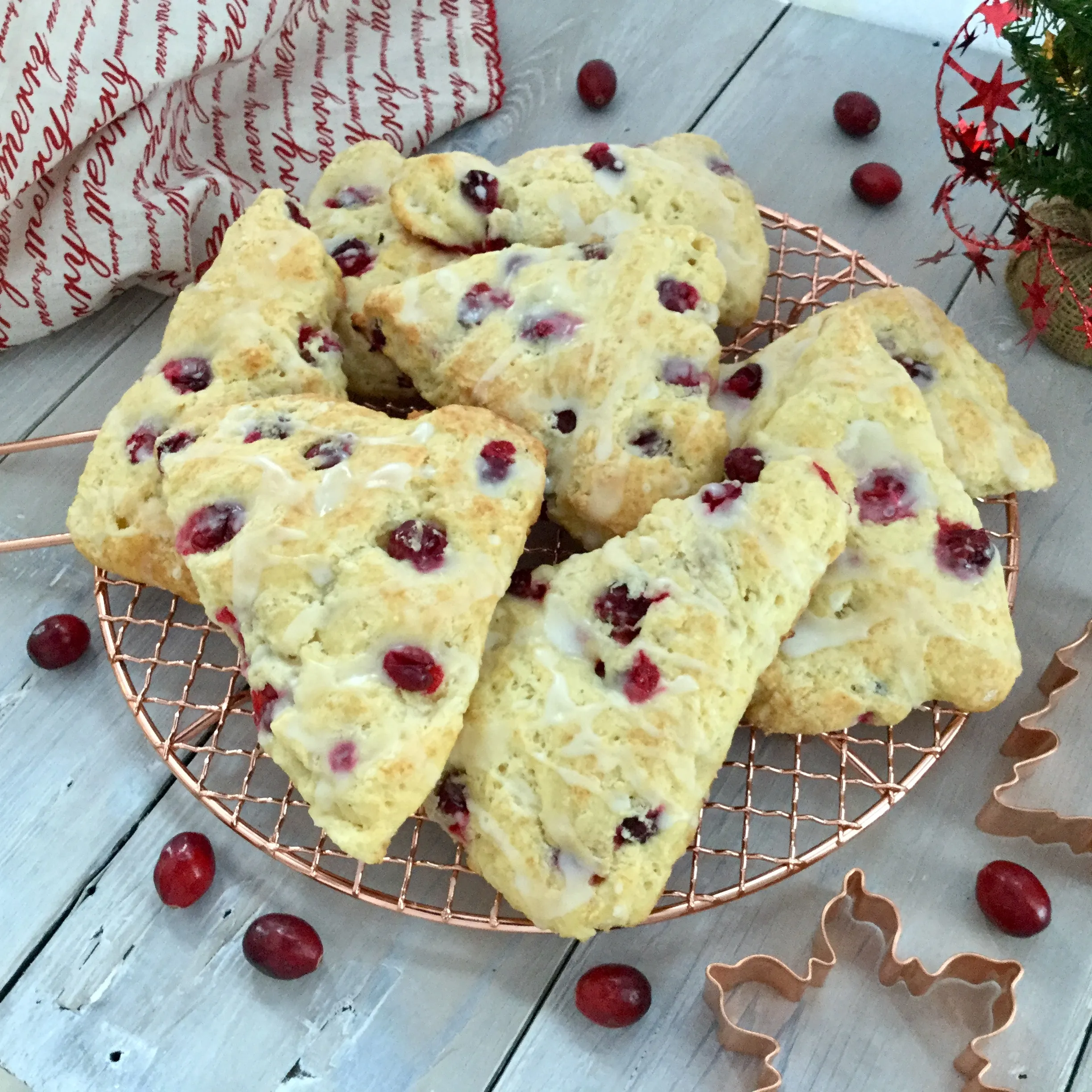 Kids Lemon Cranberry Scones