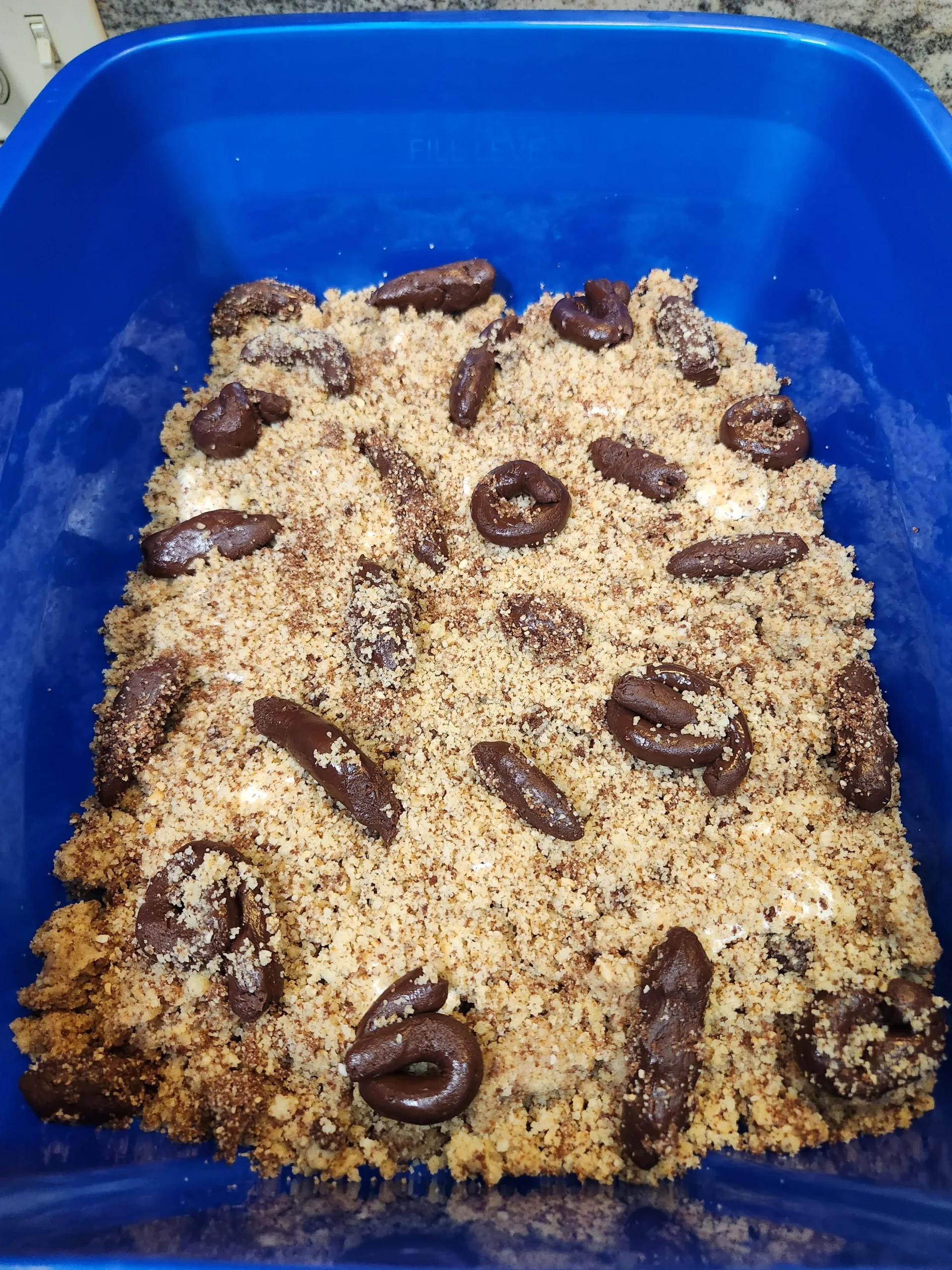 Kitty Litter Cake for Halloween
