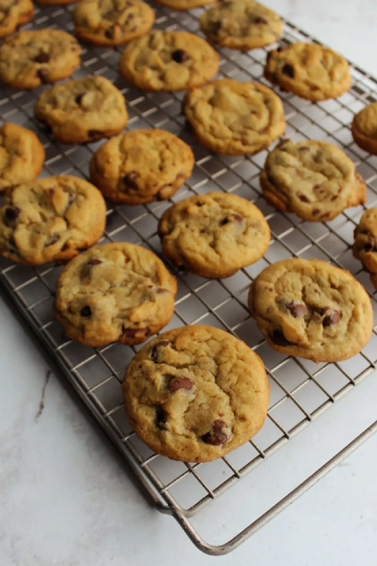 Large Batch Chocolate Chip Cookies Freezer Style