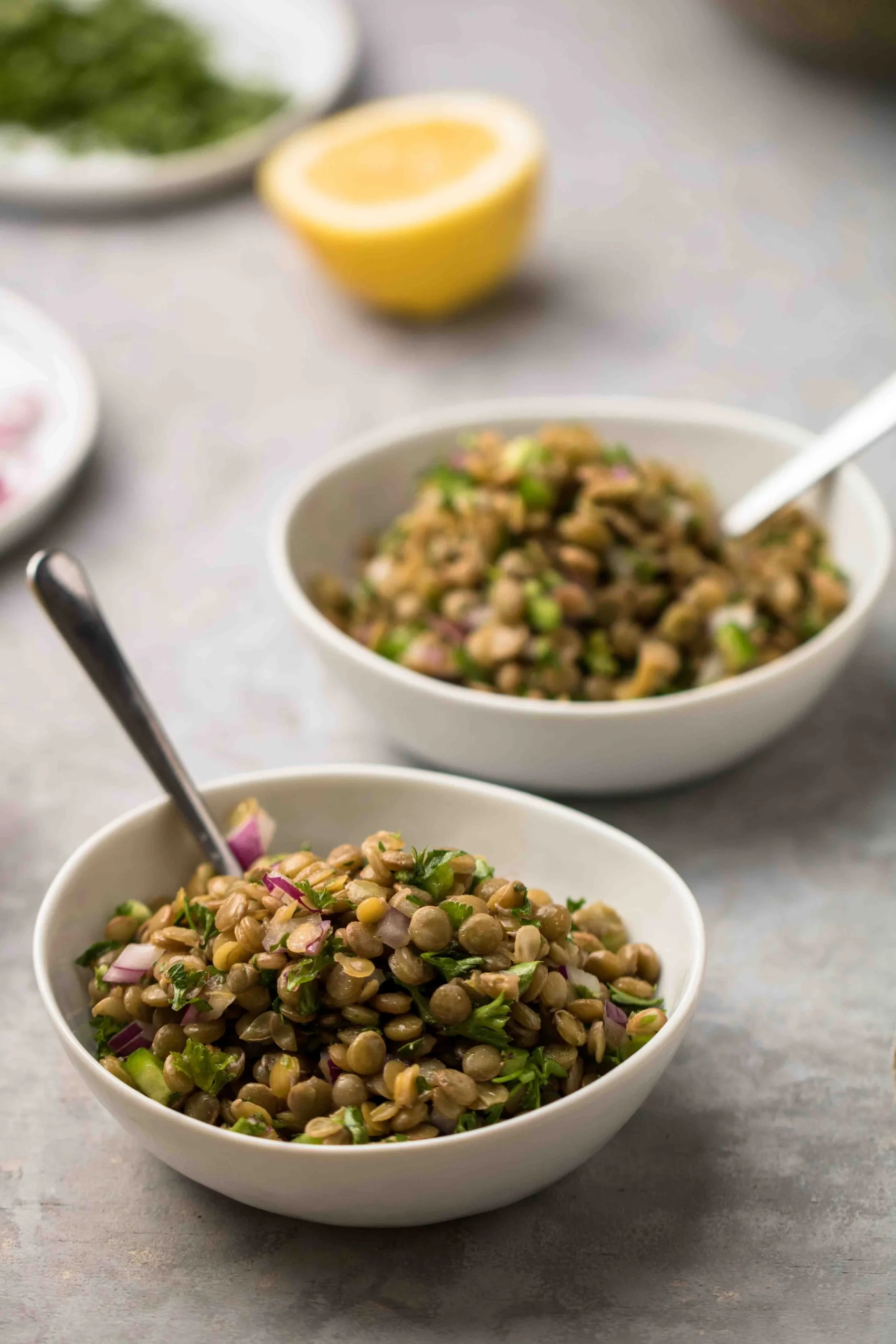 Lentil and Grain Salad
