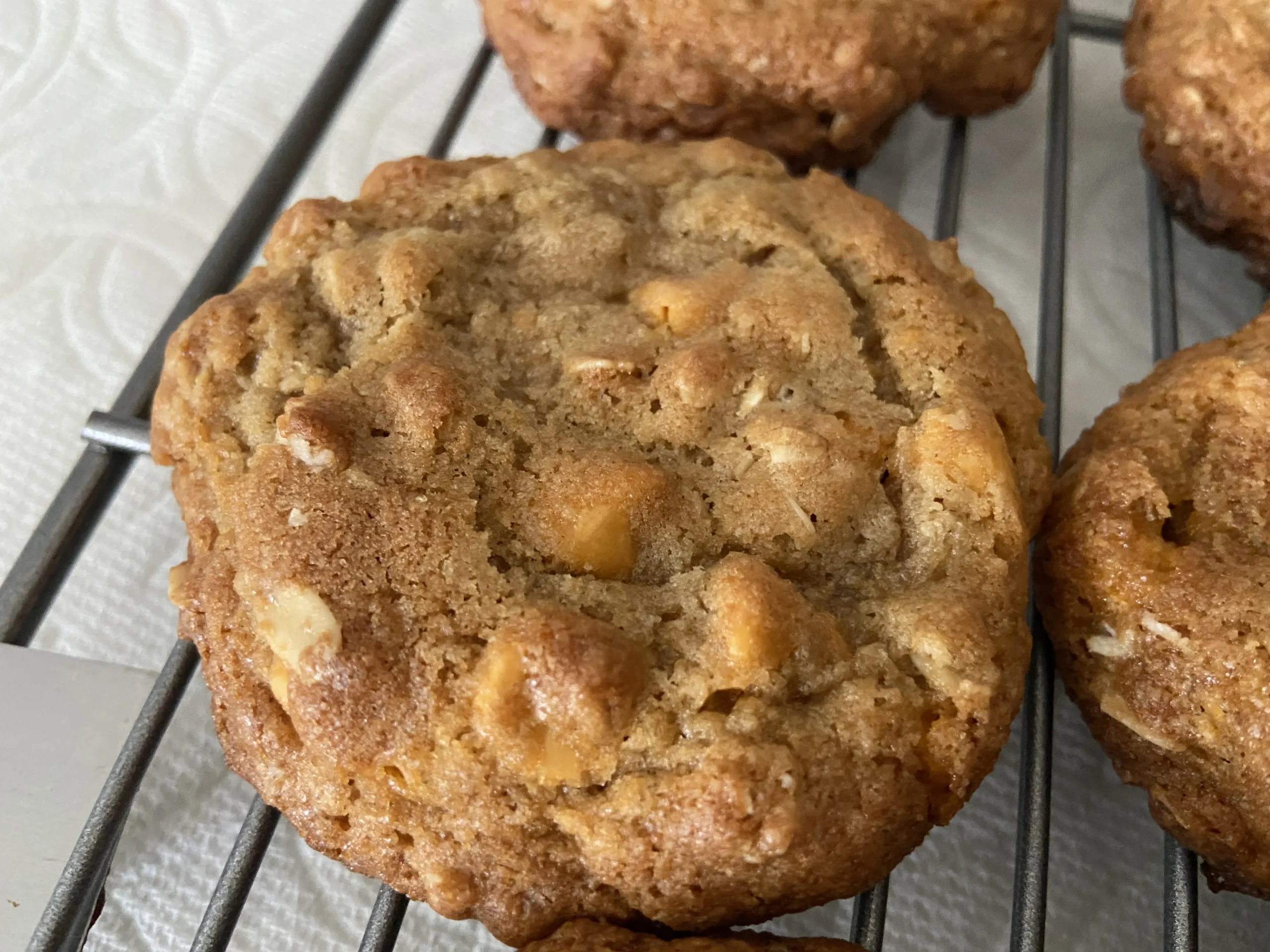 Levain Bakery Style Oatmeal Scotchie Cookies