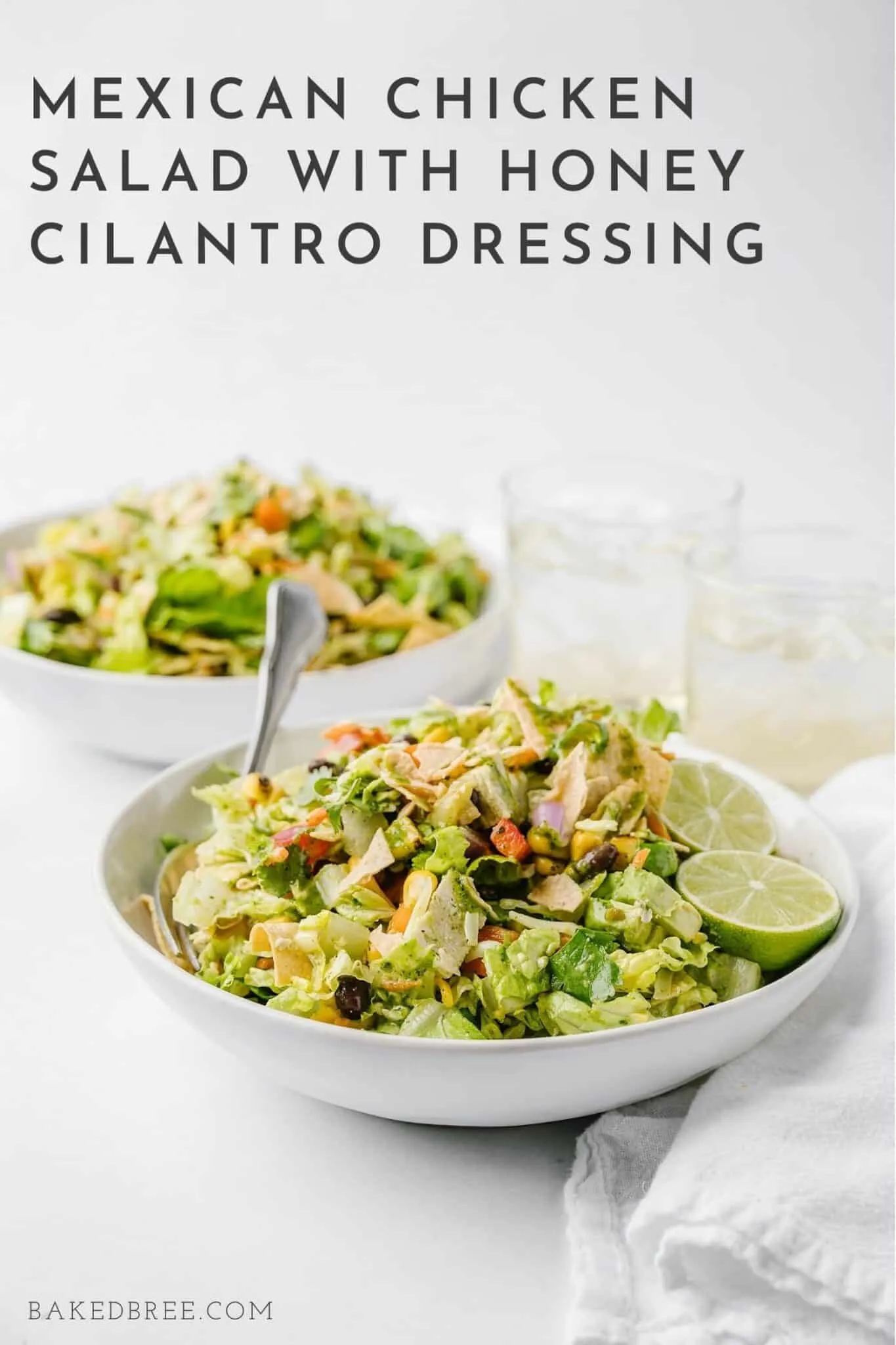 Mexican Chicken Salad with Honey Cilantro Dressing