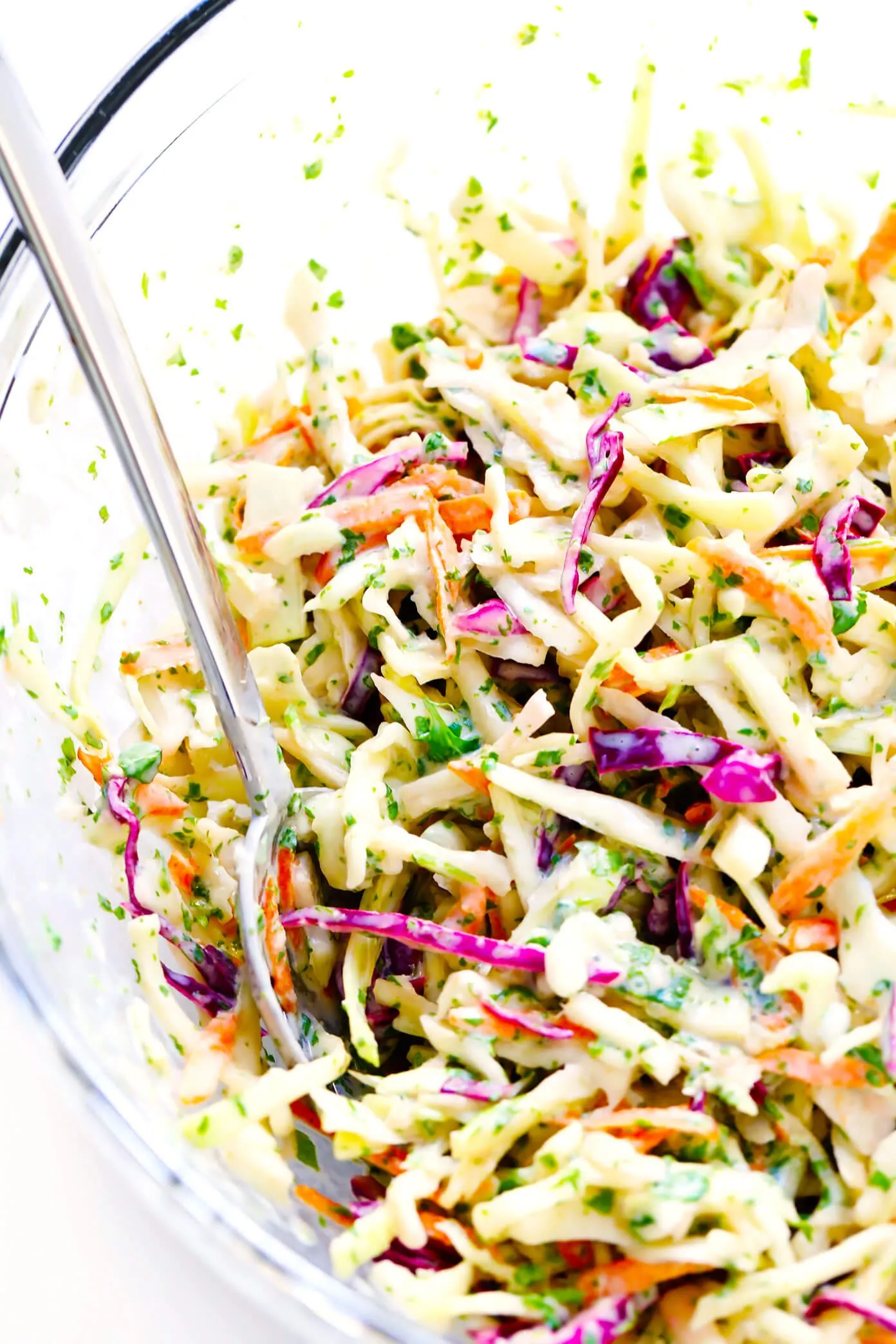 Mexican Style Slaw with Jicama, Cilantro, and Lime