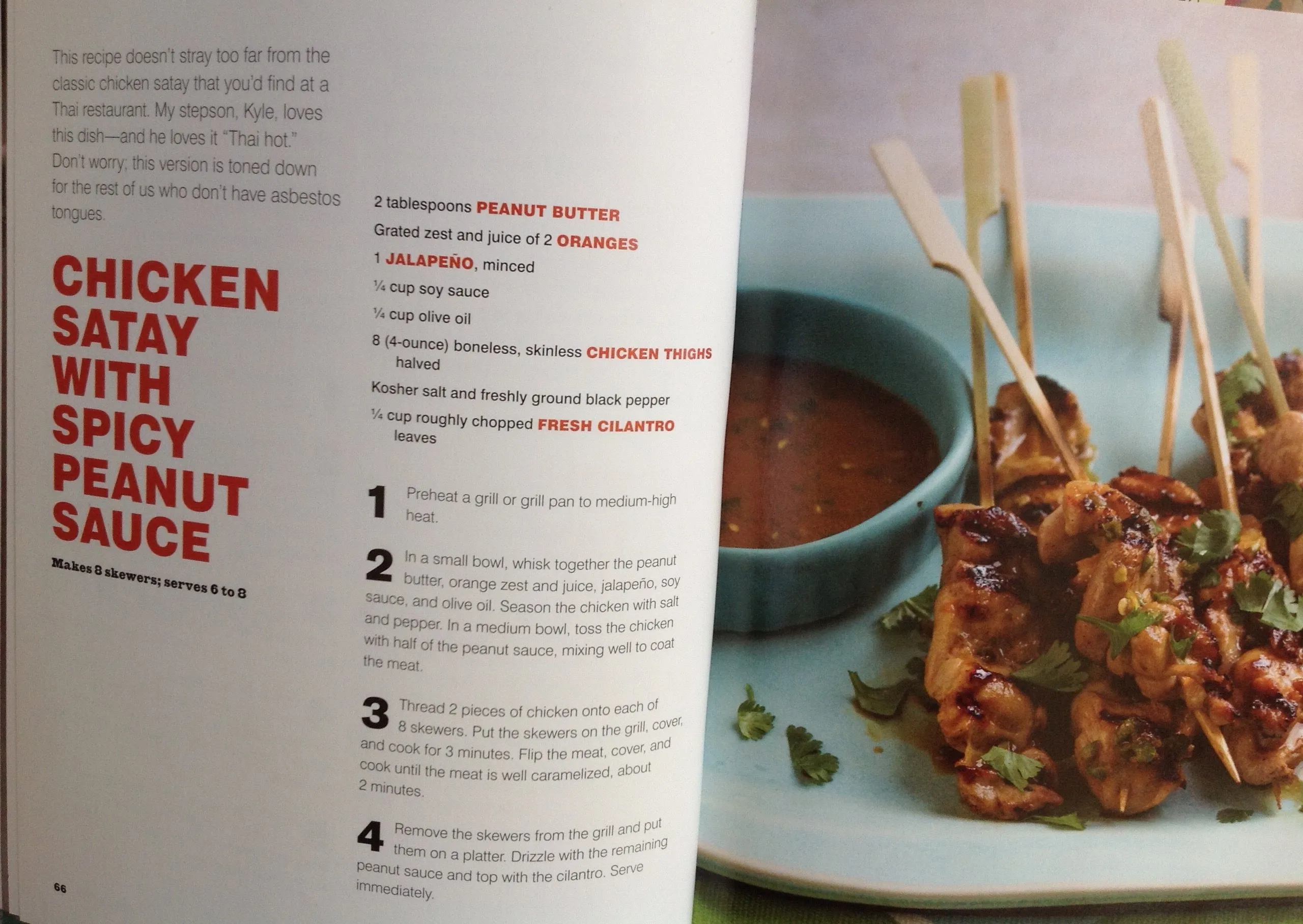Michael Symon's Chicken Satay with Spicy Peanut Sauce