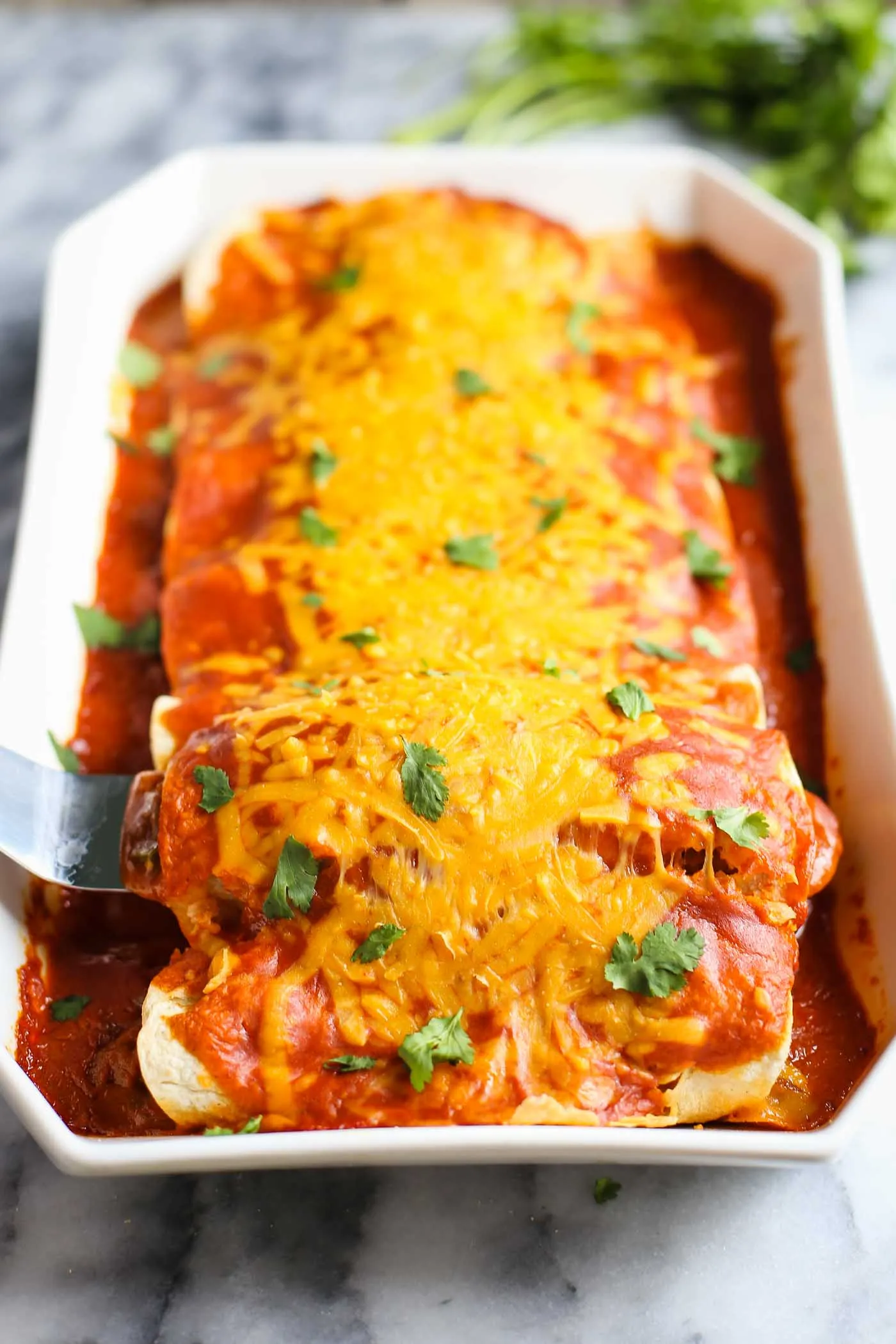 Mild Vegetarian Enchilada with Carrot Sauce