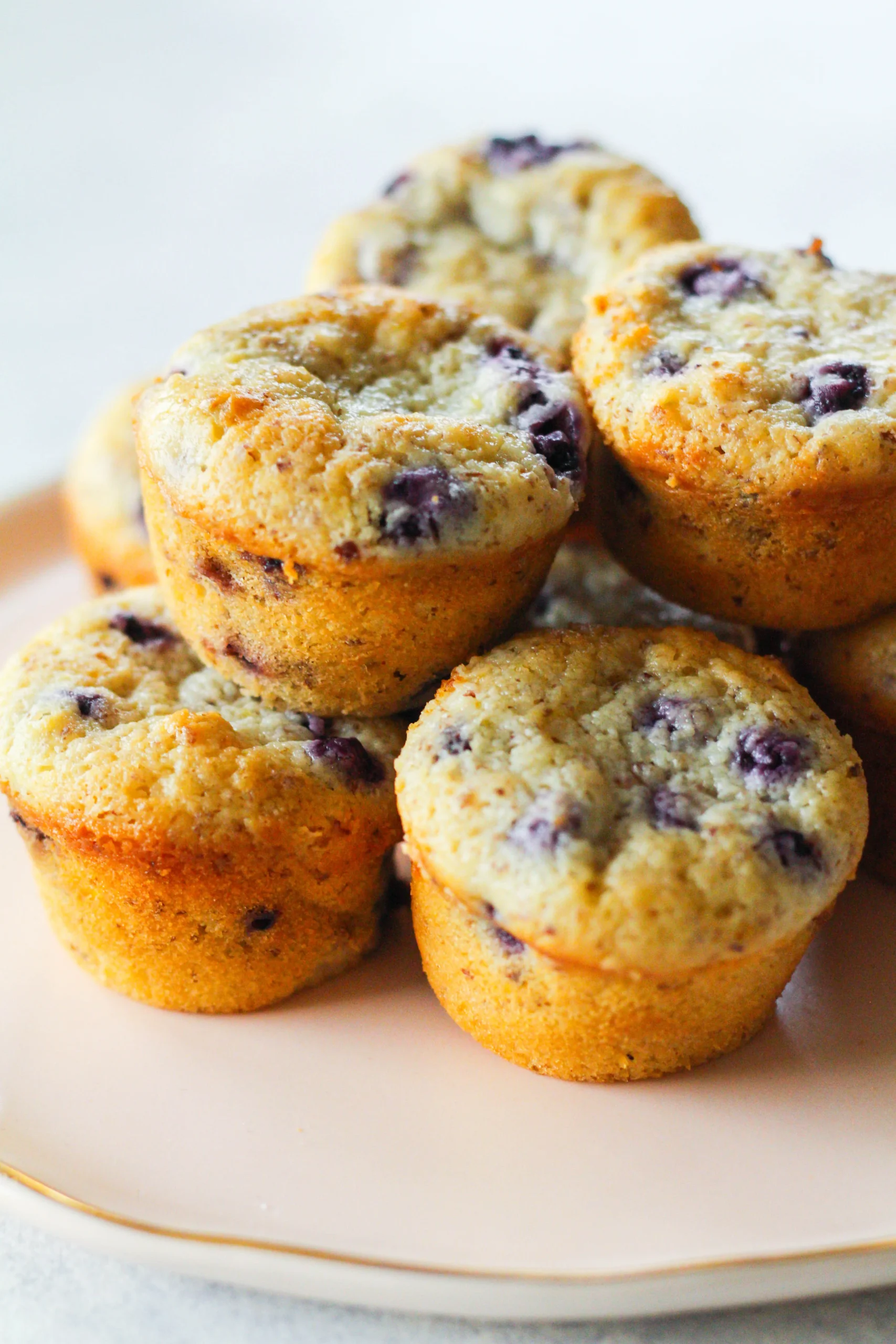 Mini Blueberry Funfetti Pancake Muffins