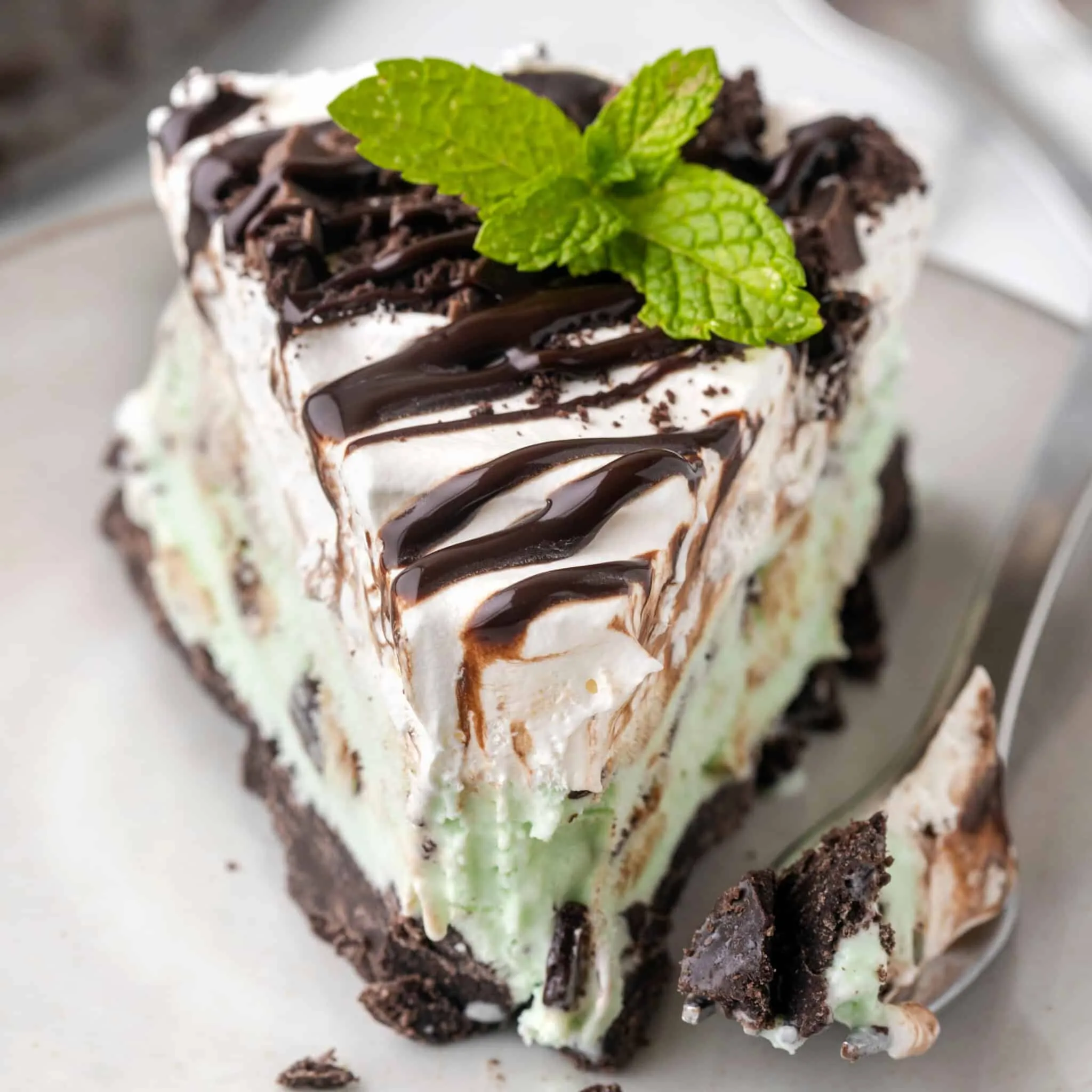 Mint Chocolate Chip Ice Cream Pie