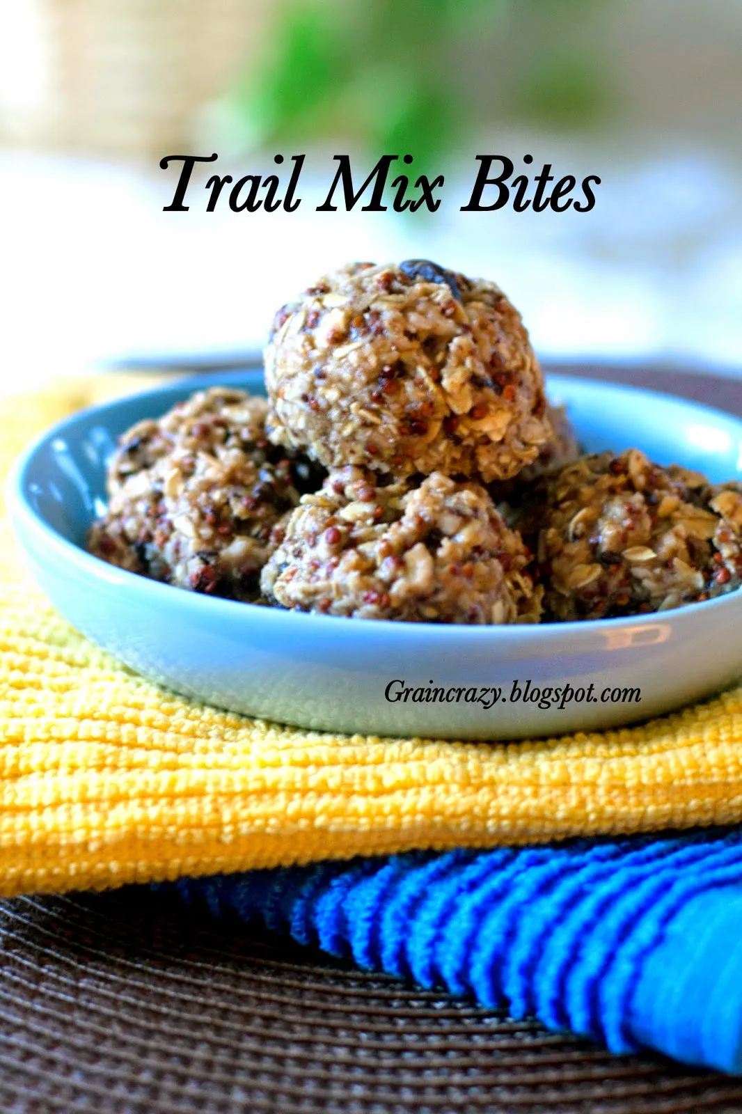Mix Match Protein Bites