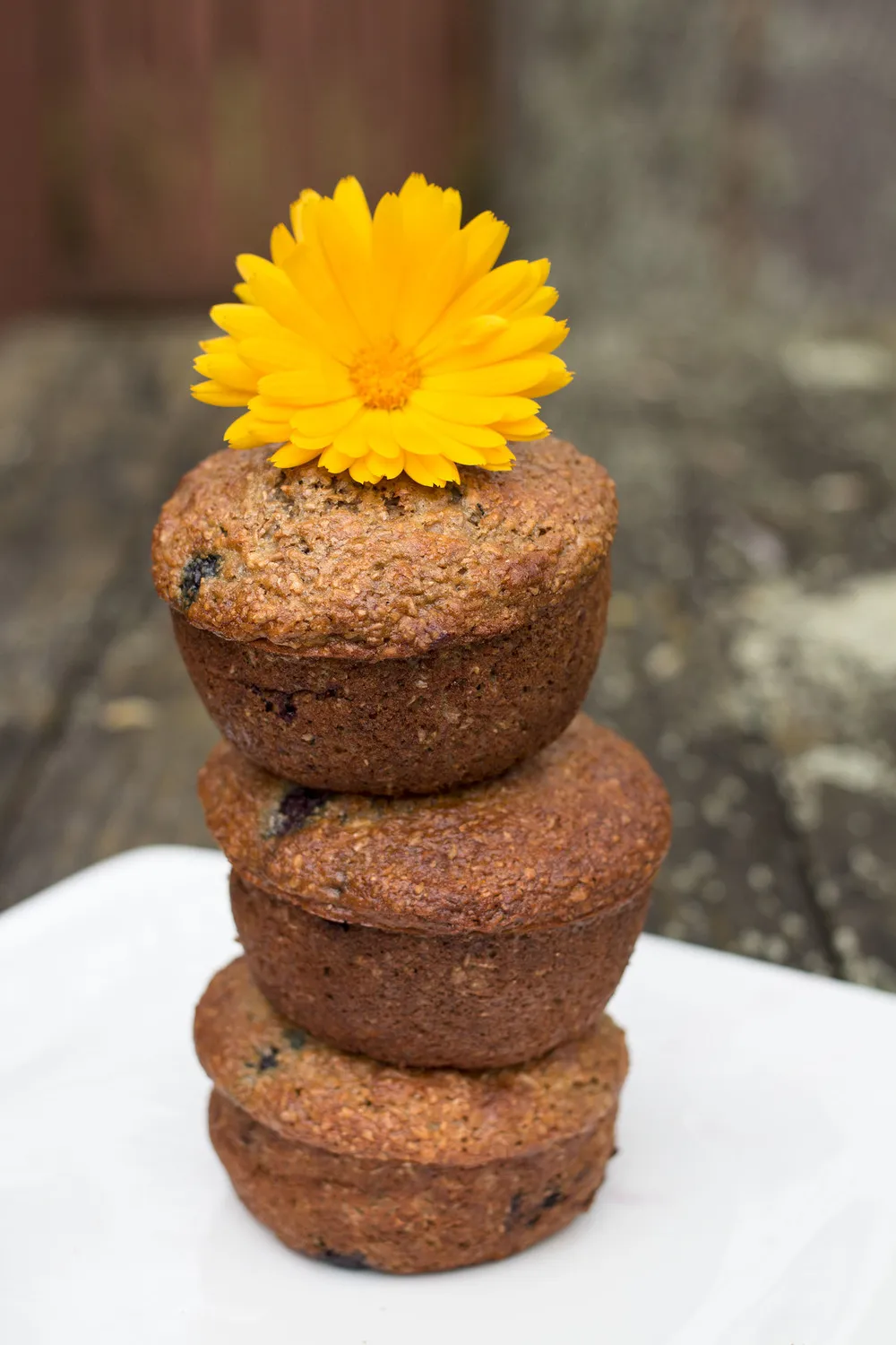 Mixed Berry Bran Muffins