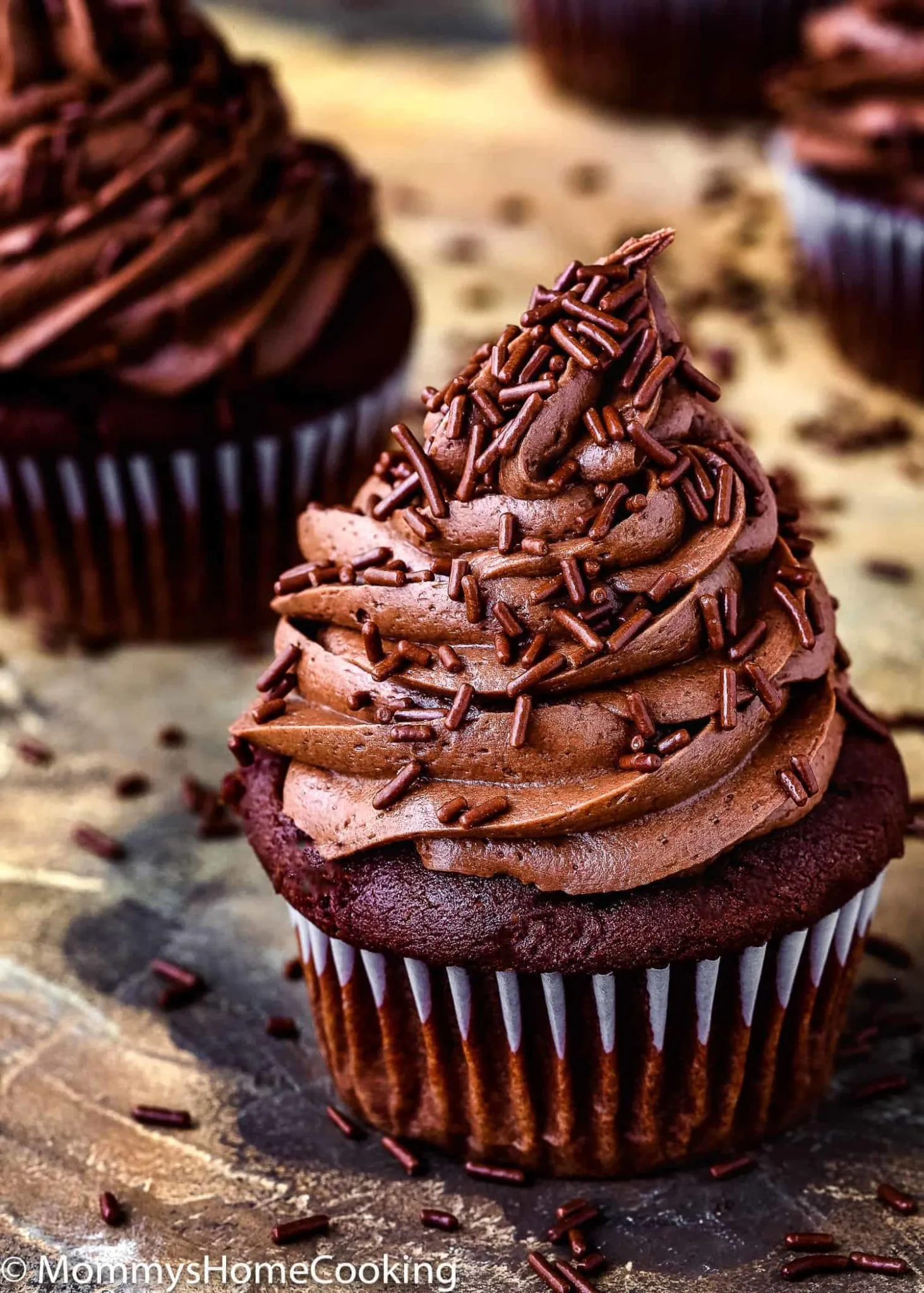 Moist and Fluffy Chocolate Cupcakes