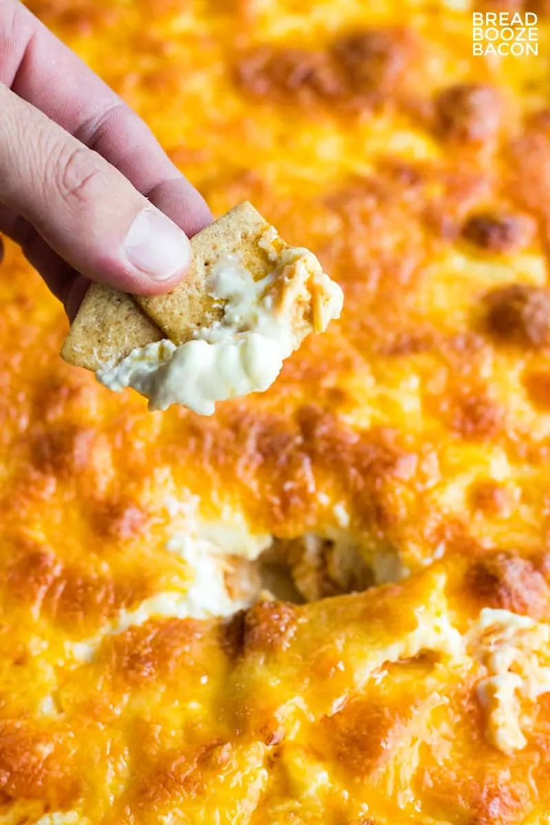 Mom's Famous Hot Wing Dip