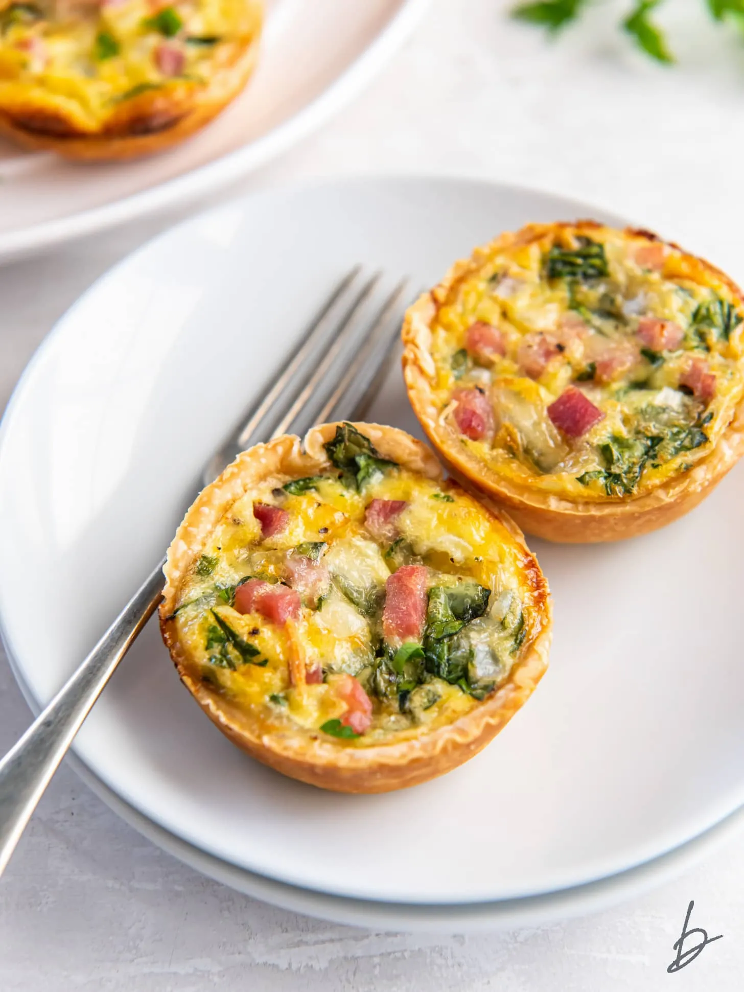 Muffin Tin Mini Quiche